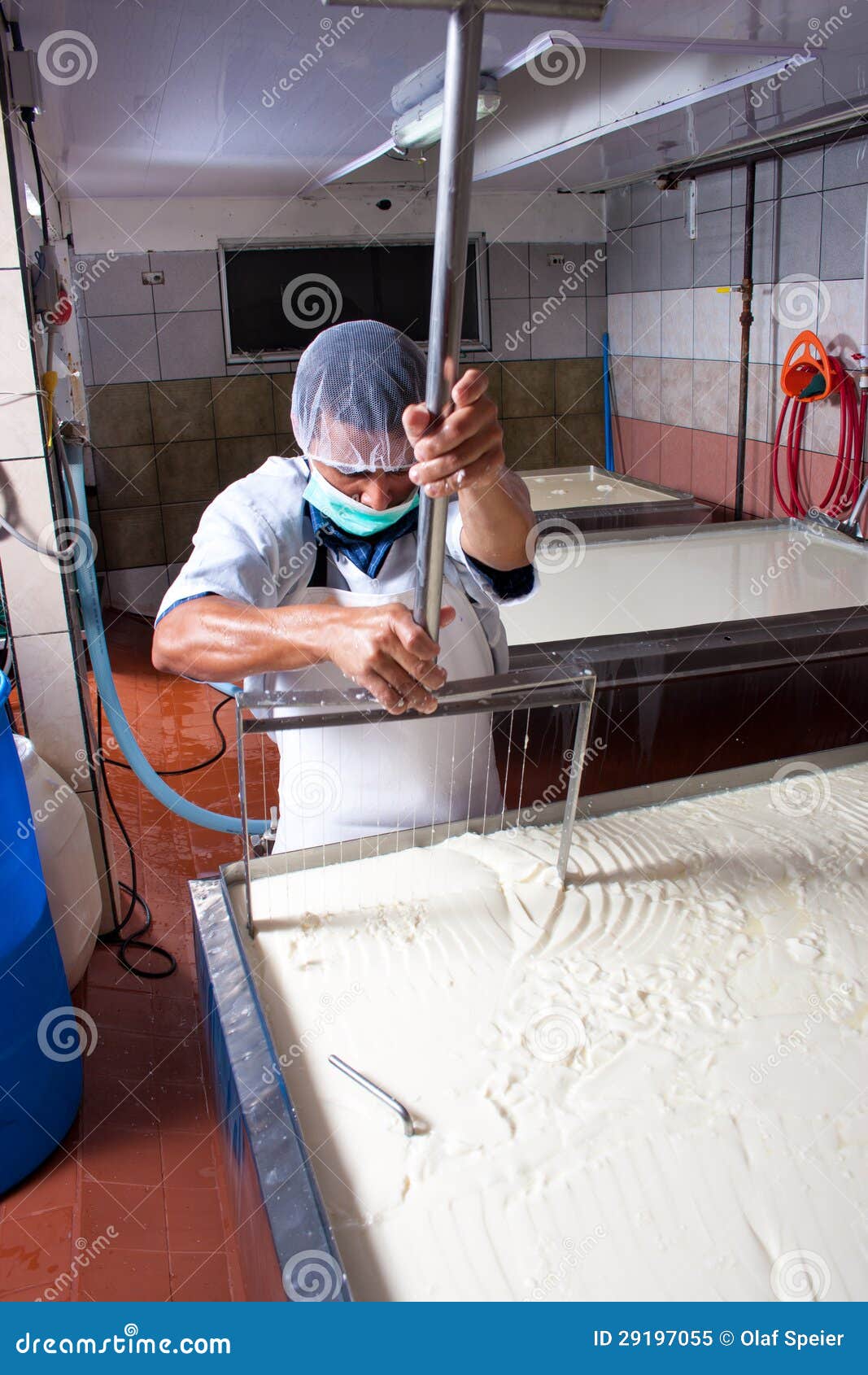 Cheese factory worker stock image. Image of manufacturing 29197055