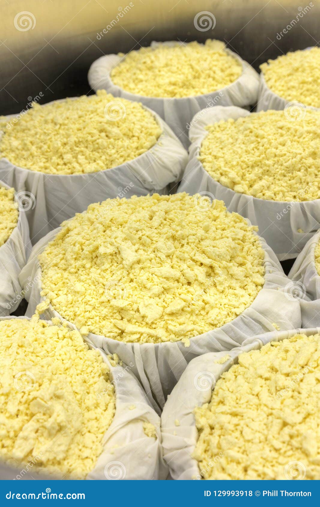 76+ Thousand Cheese Making Royalty-Free Images, Stock Photos & Pictures