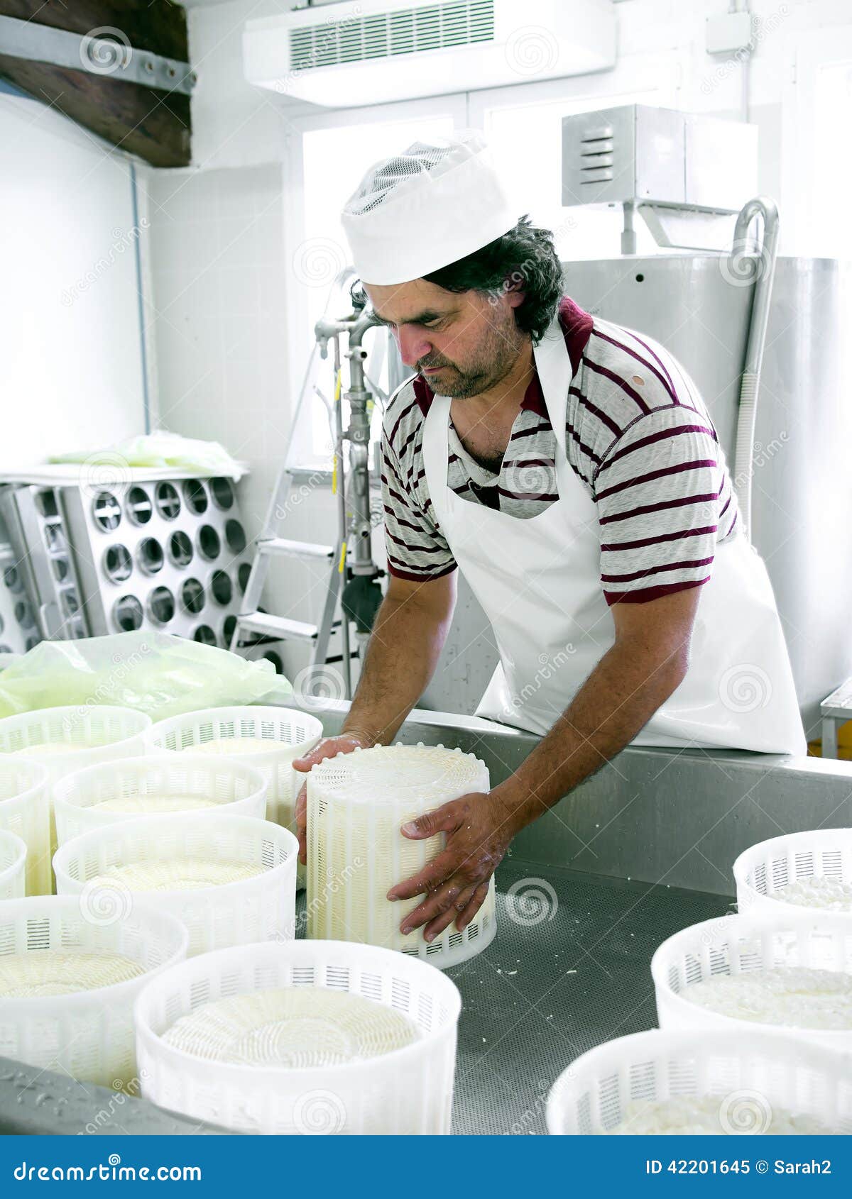 Cheese Making Turning the Fresh Cheeses. Stock Image Image of