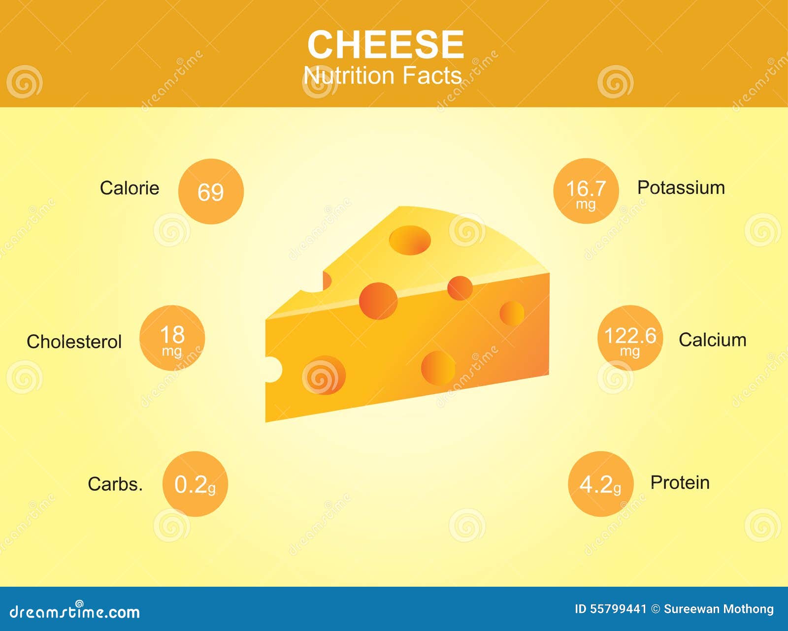 Cheese Nutrition Facts Cheese With Information Cheese Vector Stock Vector Illustration Of cheese-nutrition-facts-cheese-with-information-cheese-vector-stock-vector-illustration-of