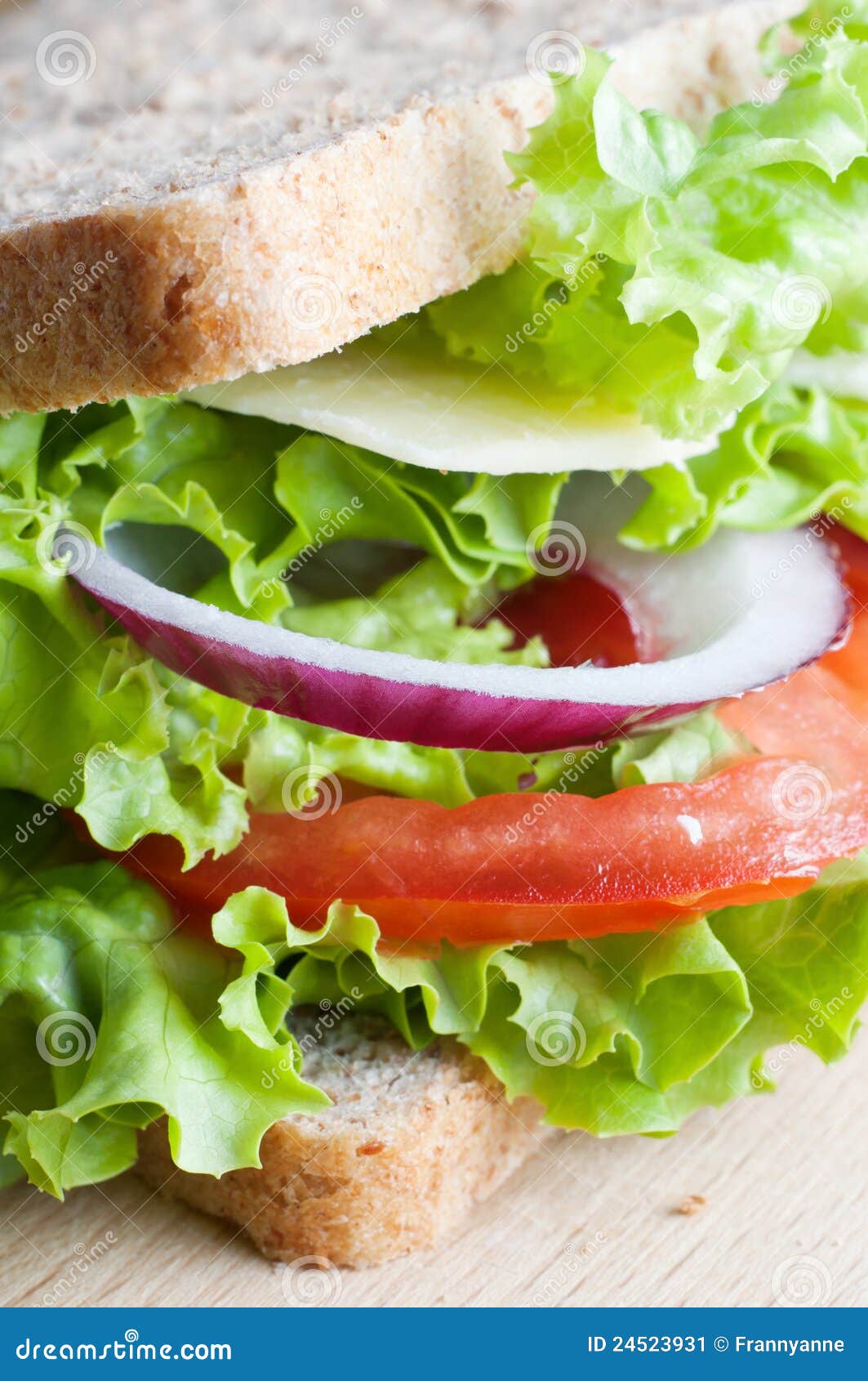 Cheese Salad Sandwich stock image. Image of vegetarian 24523931