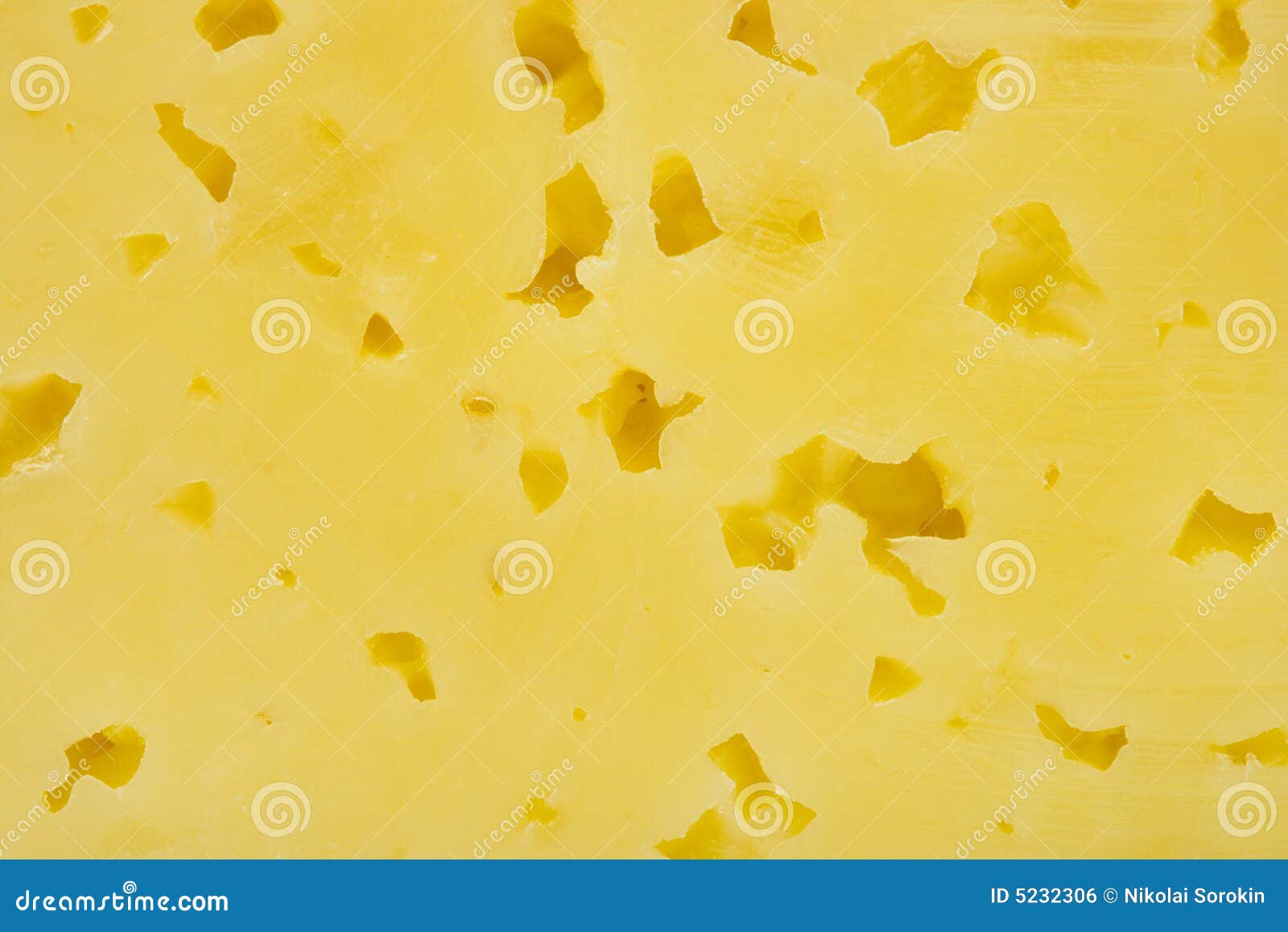 Cheese texture stock photo. Image of ingredient, close 5232306