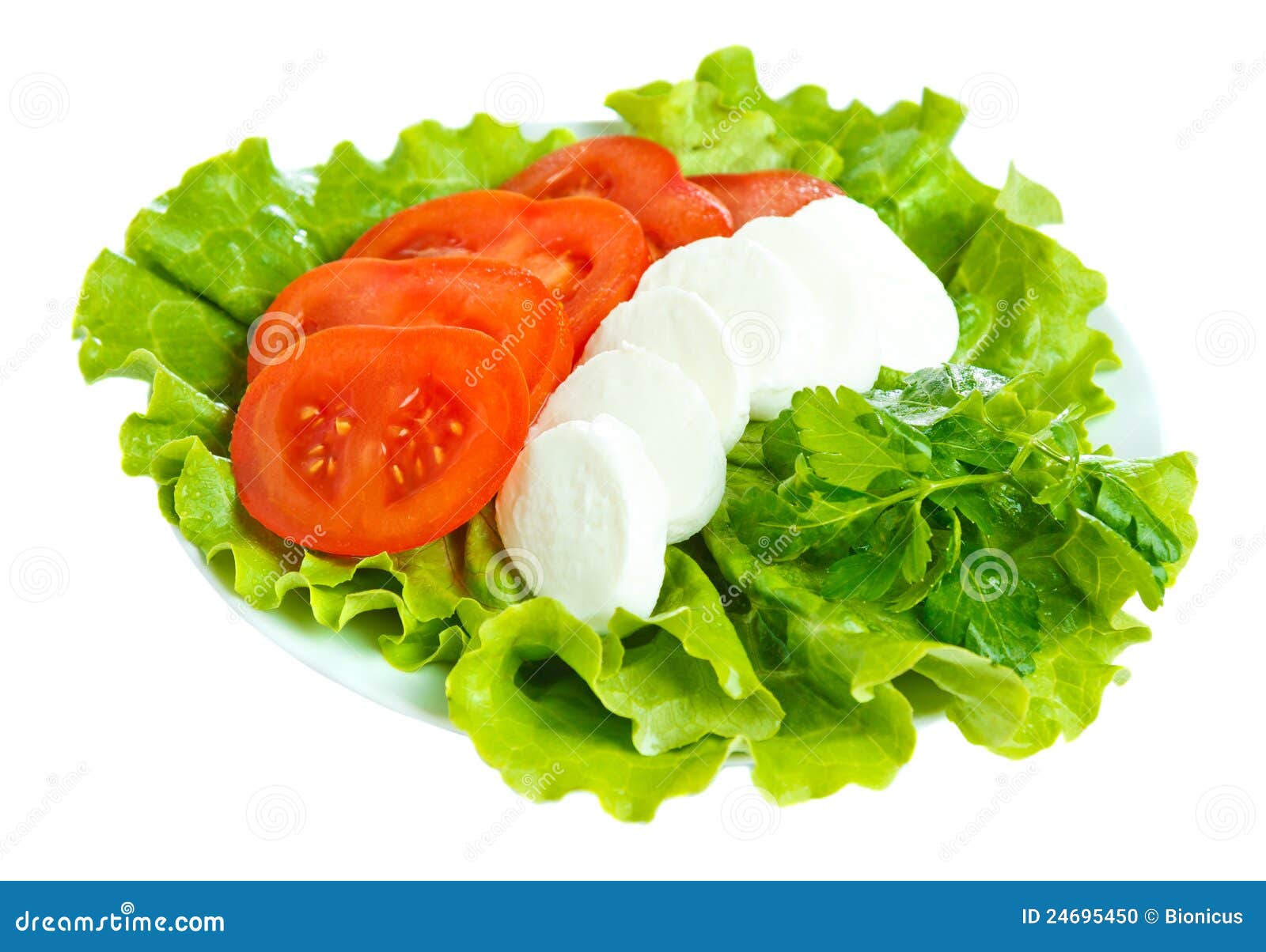 Cheese with Tomato and Salad Stock Photo Image of green, lettuce