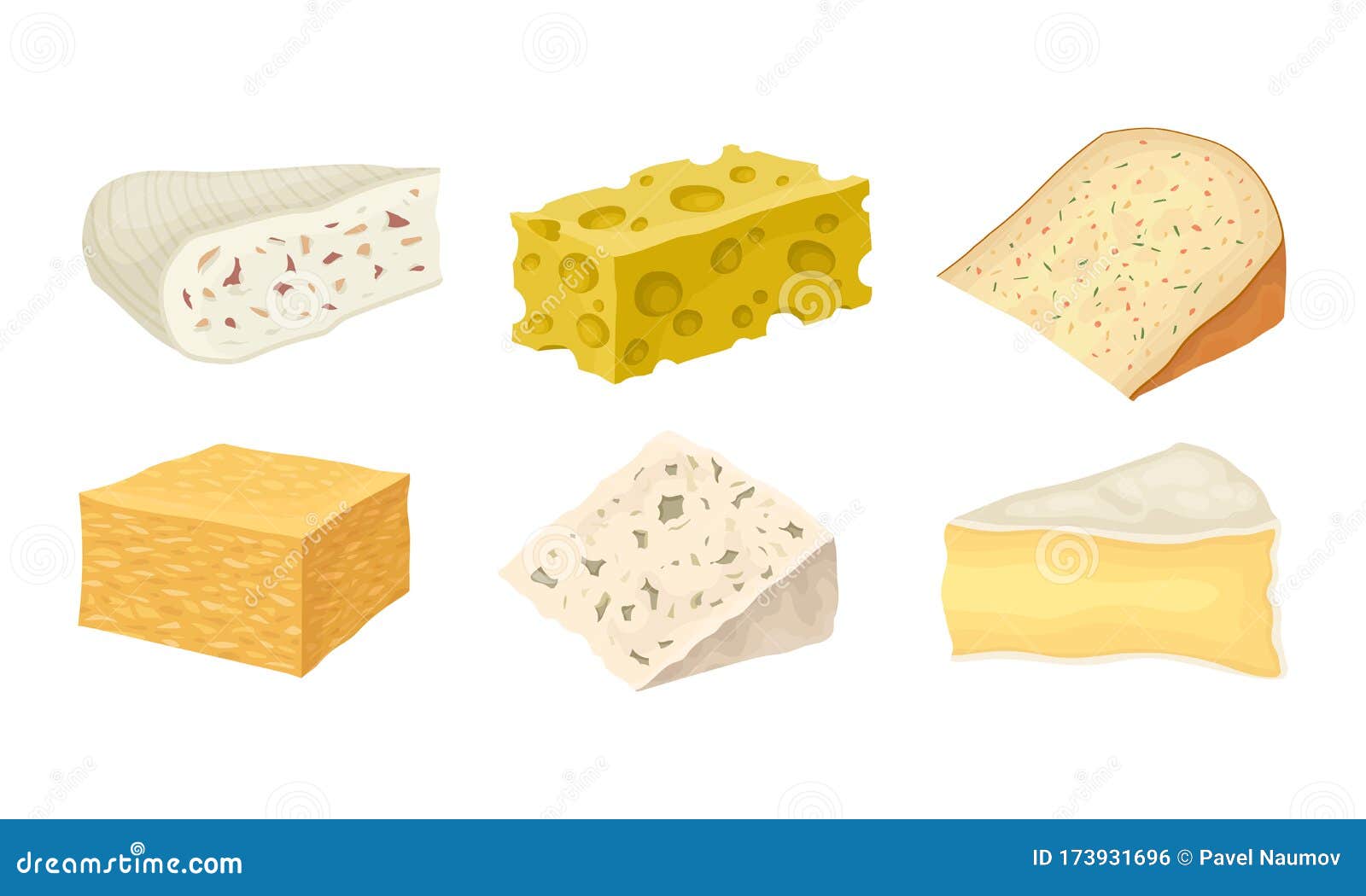 Cheese Types with Blue Cheese and Swiss Cheese Slabs Vector Set Stock