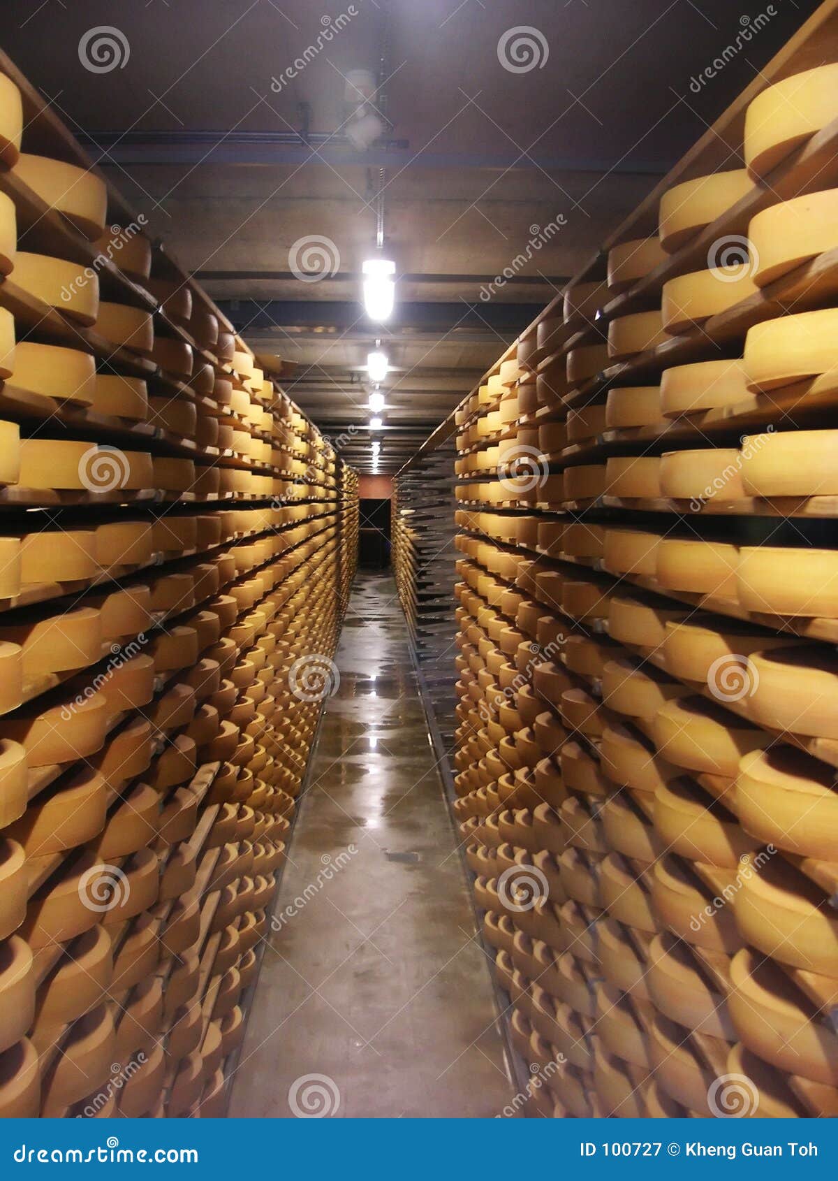 Cheese Warehouse Royalty Free Stock Photography Image 100727