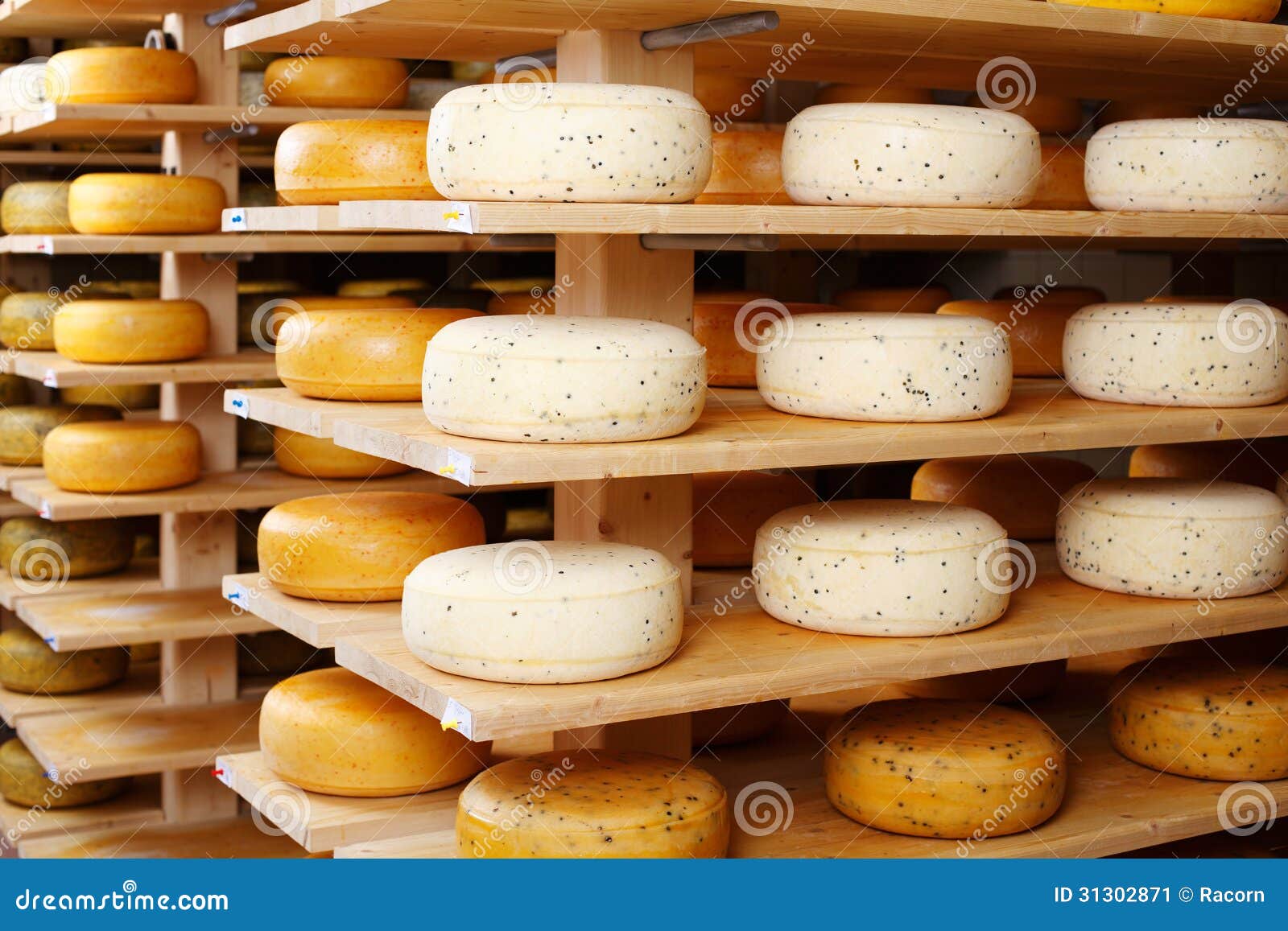 Cheese wheels in factory stock image. Image of cheddar - 31302871
