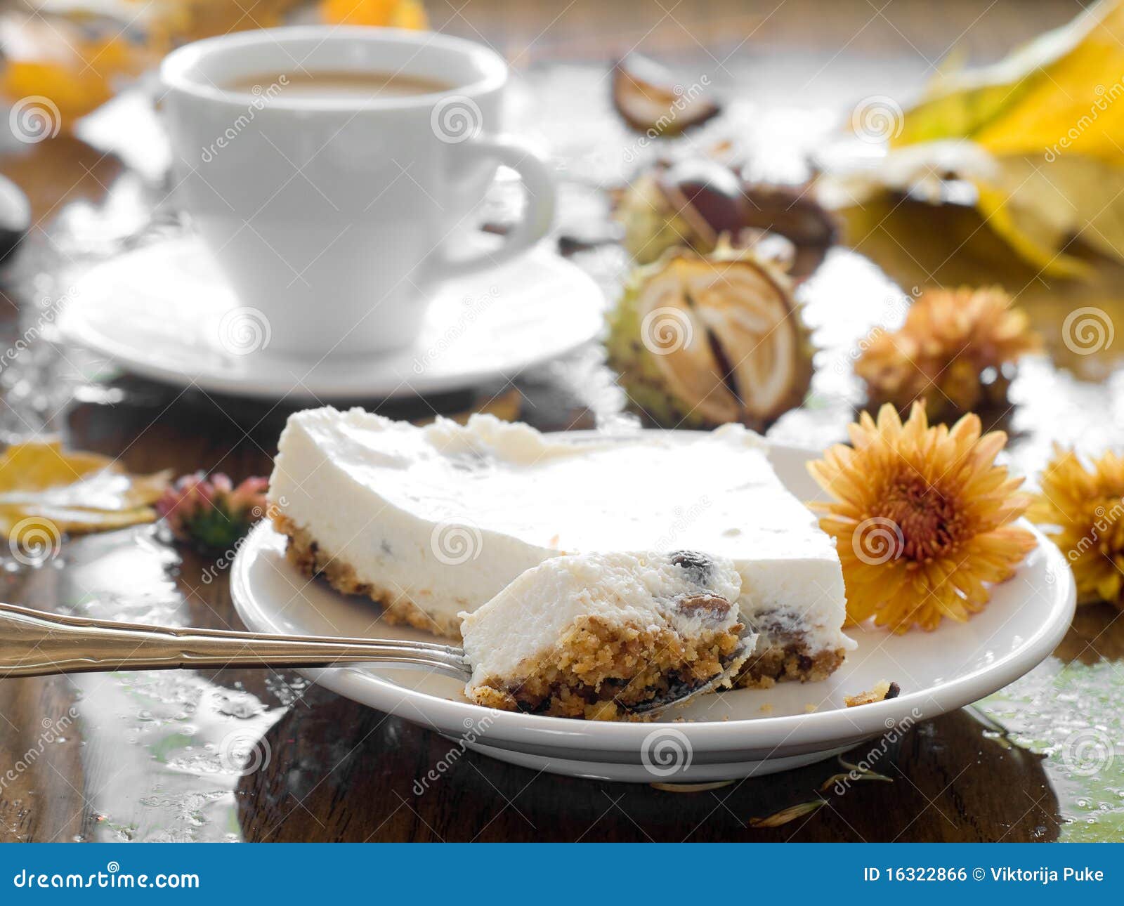 Cheesecake with coffee stock photo. Image of white, closeup 16322866