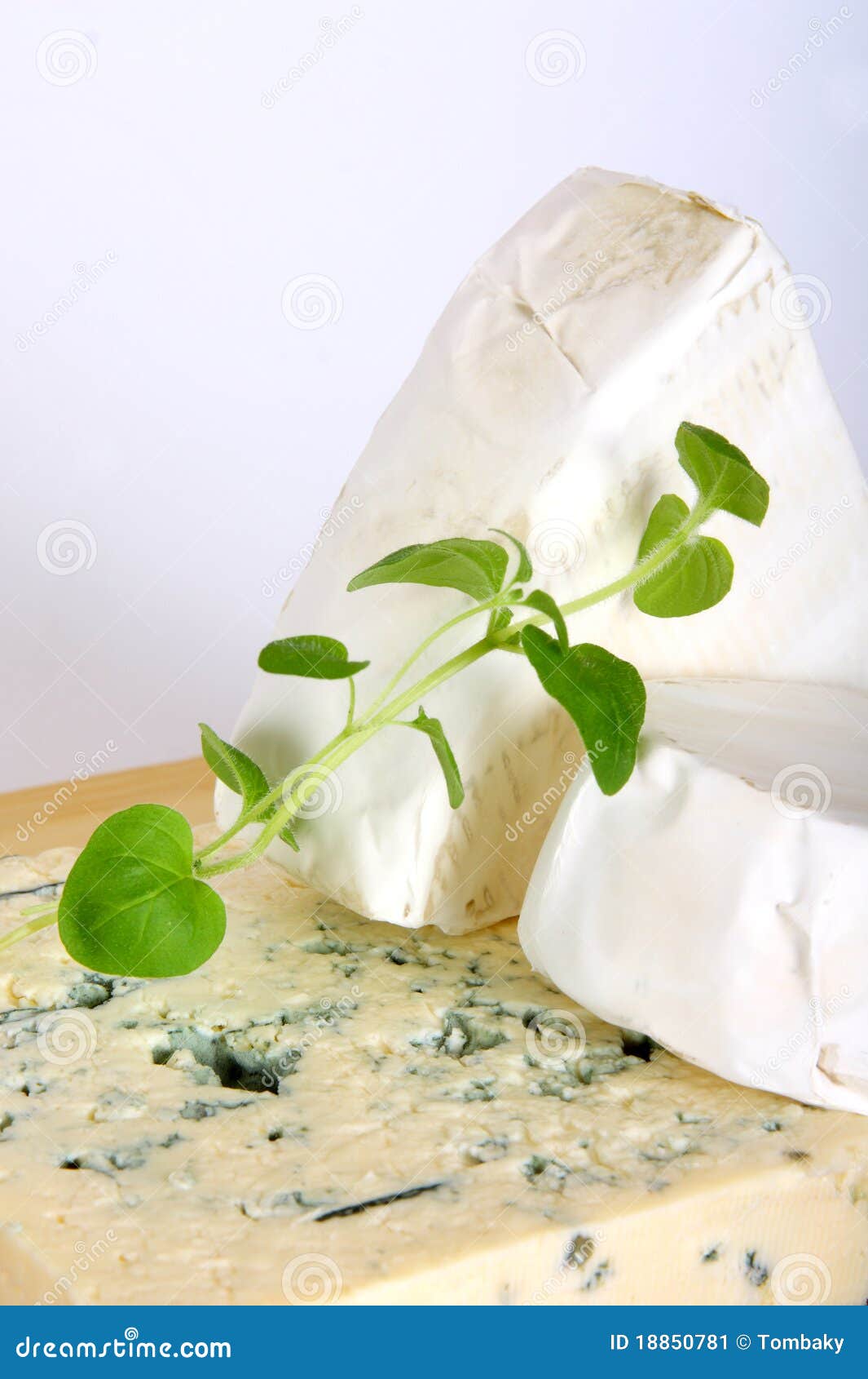 Cheeses stock image. Image of veined, chees, oregano 18850781