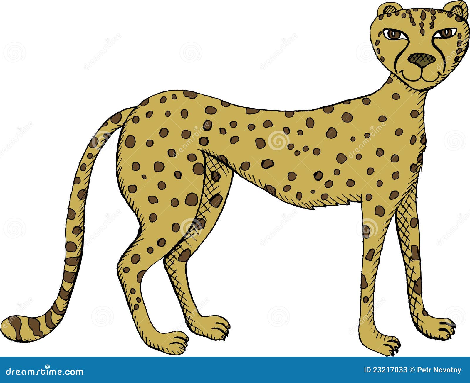 Cheetah stock vector. Illustration of cheetah, vector - 23217033