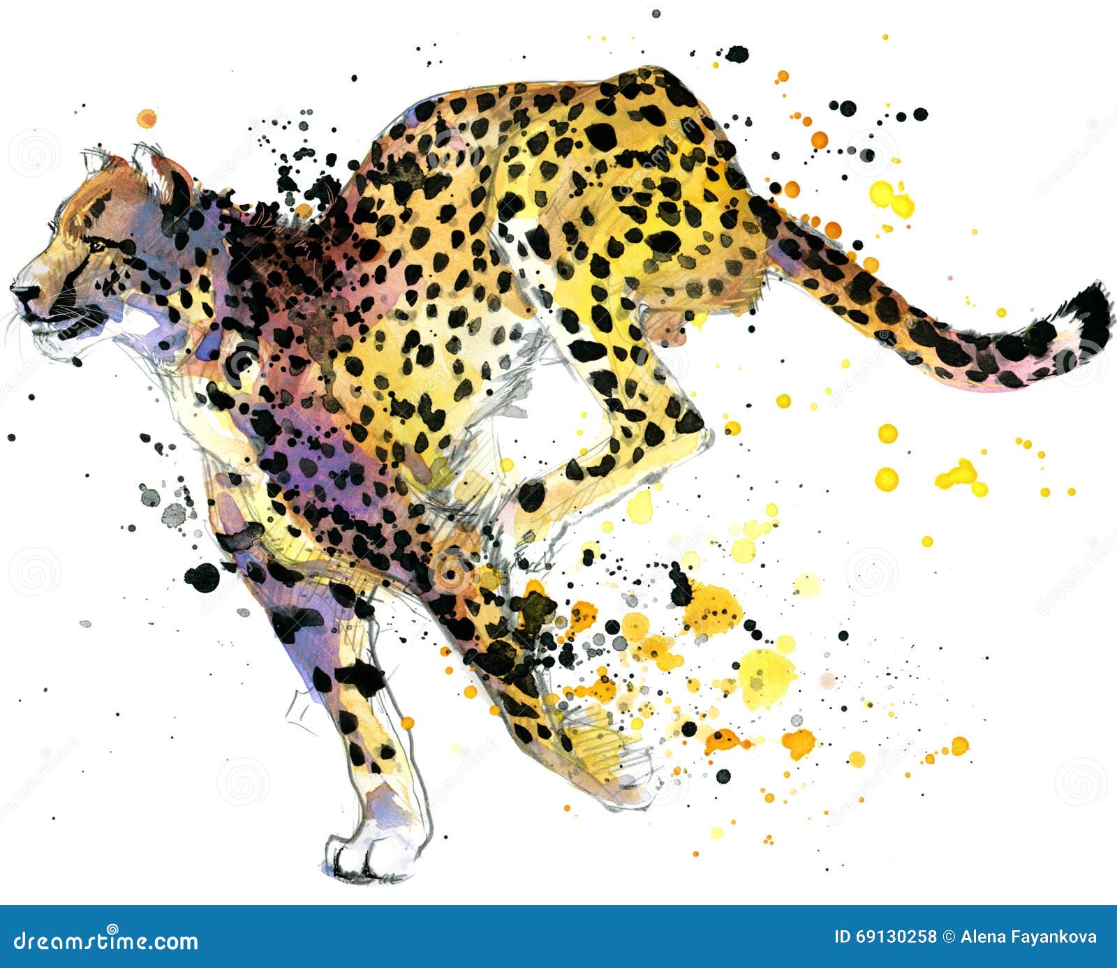 cheetah. cheetah  watercolor