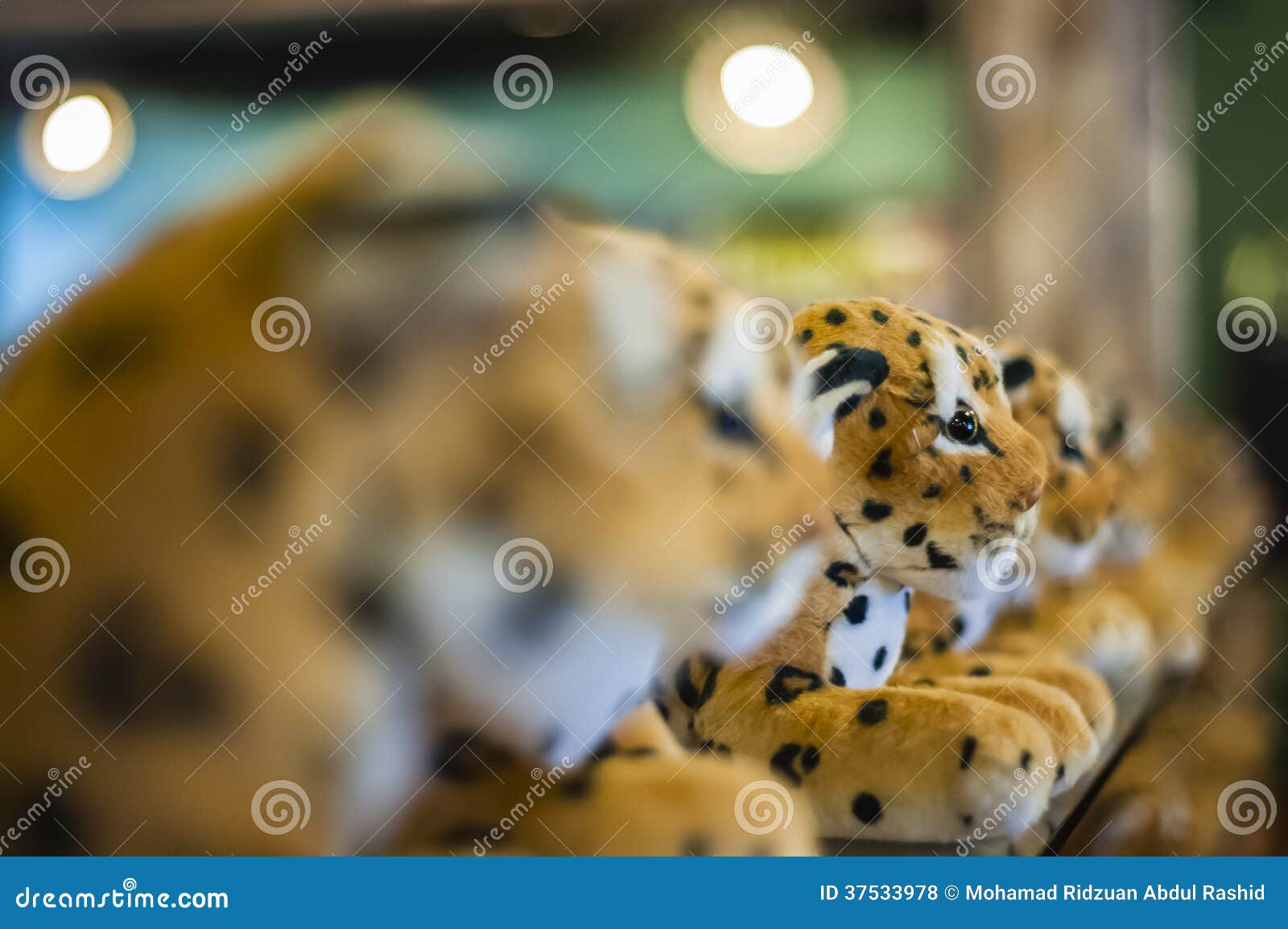 cheetah dolls
