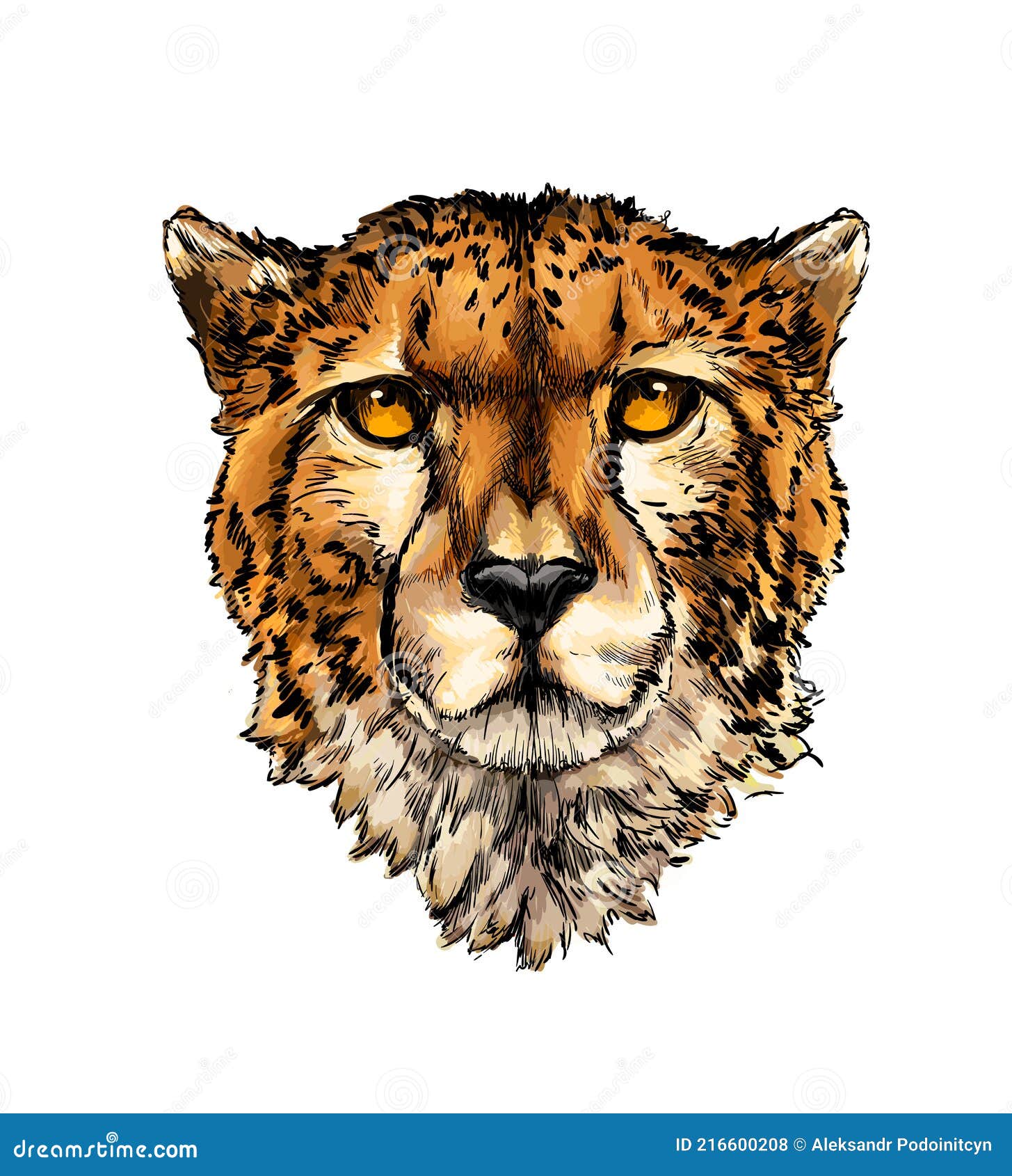 Cheetah Drawing Photo - Drawing Skill