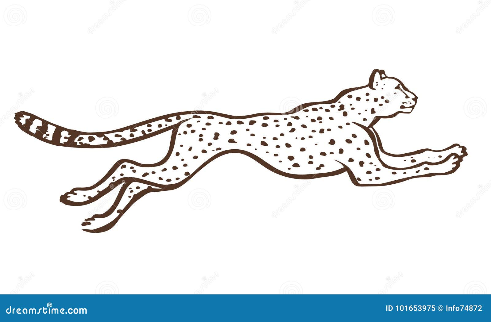 Cheetah Running Sketch Vector Stock Vector Illustration of running