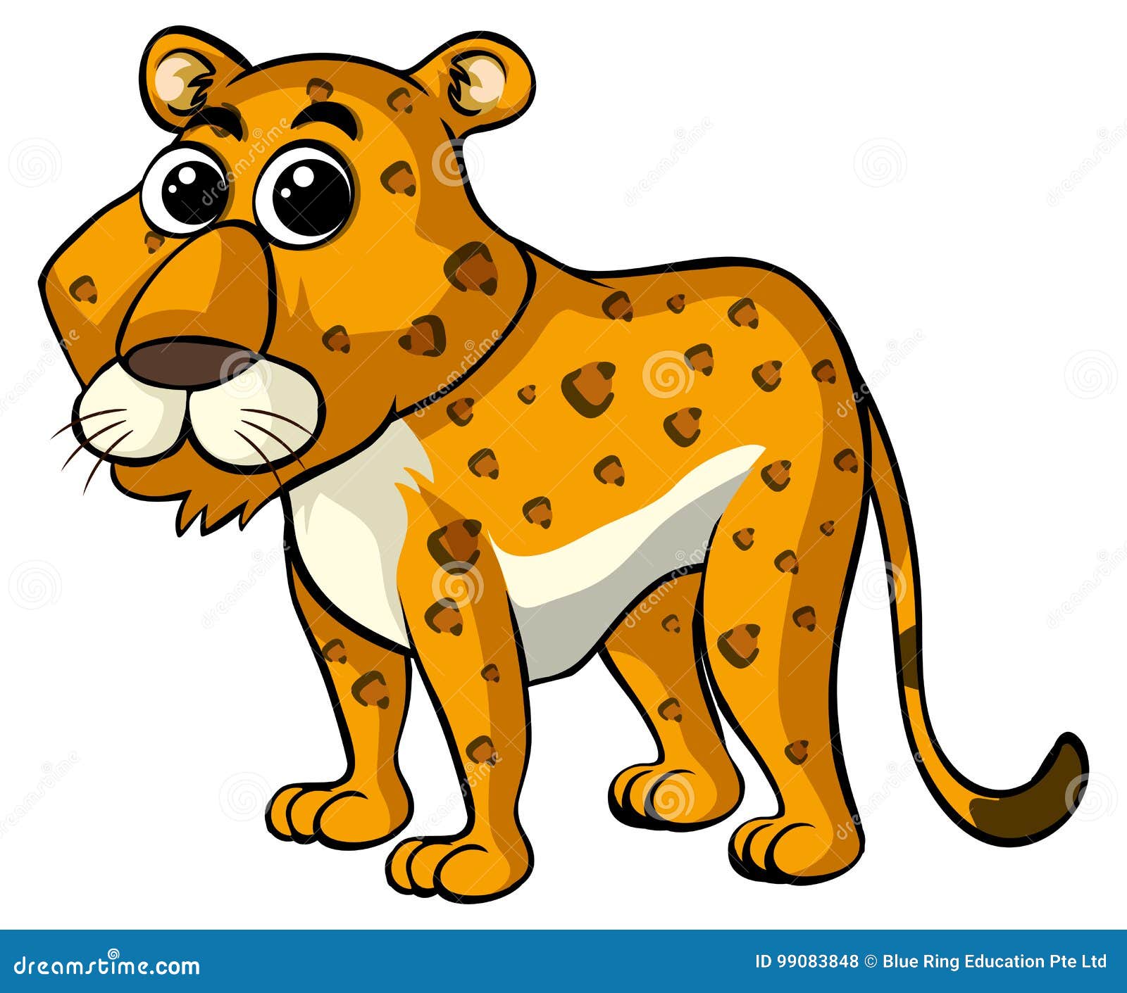 Cheetah on White Background Stock Vector - Illustration of cheetah ...