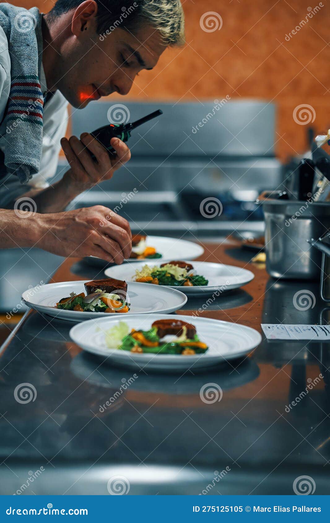 Chef Preparing Dishes for Tasting Menu Stock Image - Image of cook ...