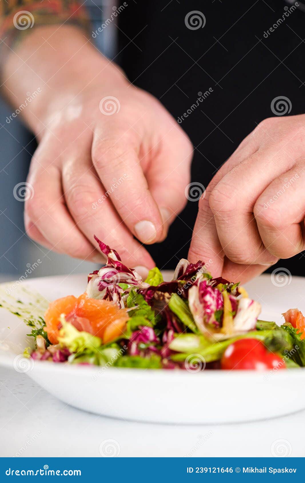 The Chef Makes a Readymade Salad Dish. Stock Photo Image of dinner