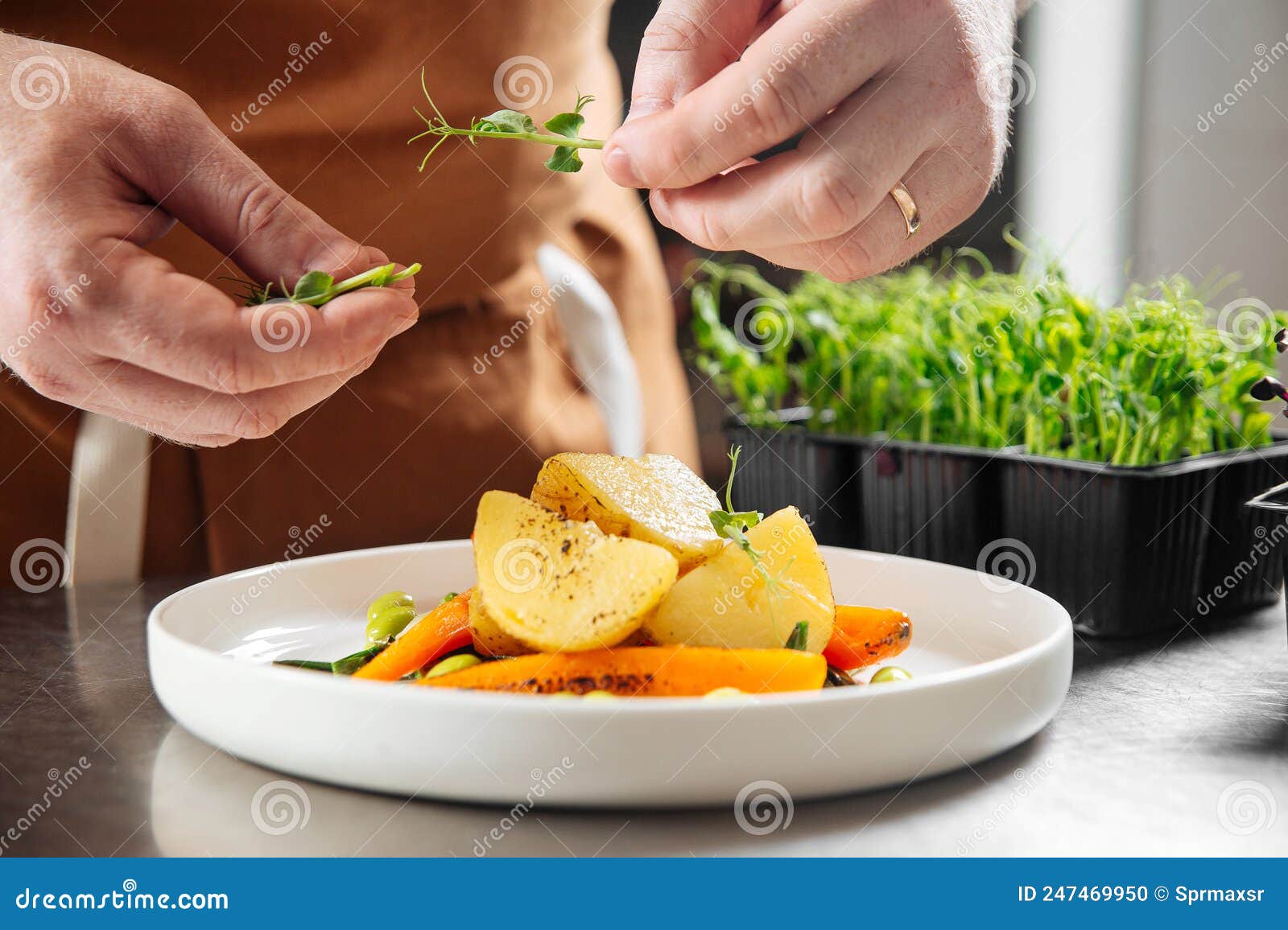 Chef Making Gourmet Dish with Microgreens Stock Photo Image of chef