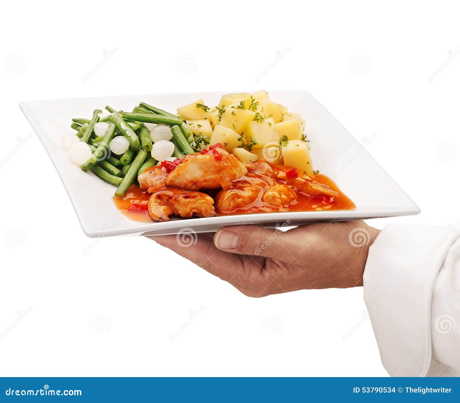 Chef Serving Food on a Plate Stock Photo Image of dish, waiter 53790534