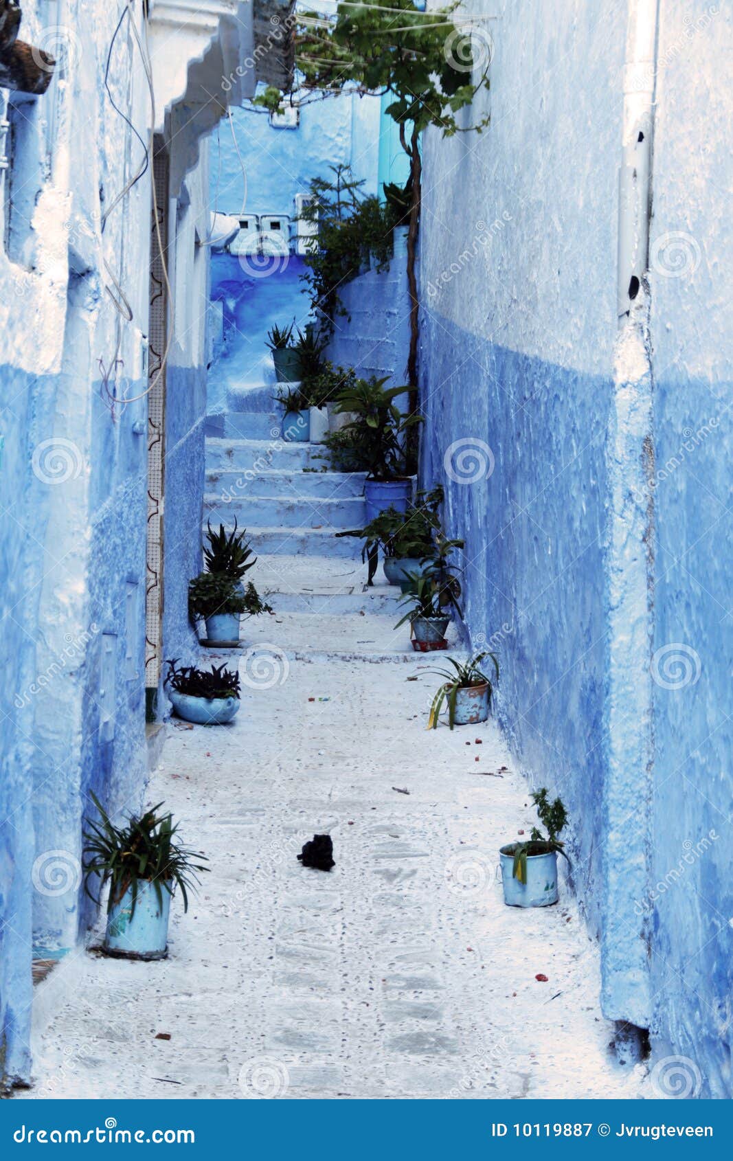 Chefchaouen La Maison Maroc De Groupe Type Image stock Image du chef