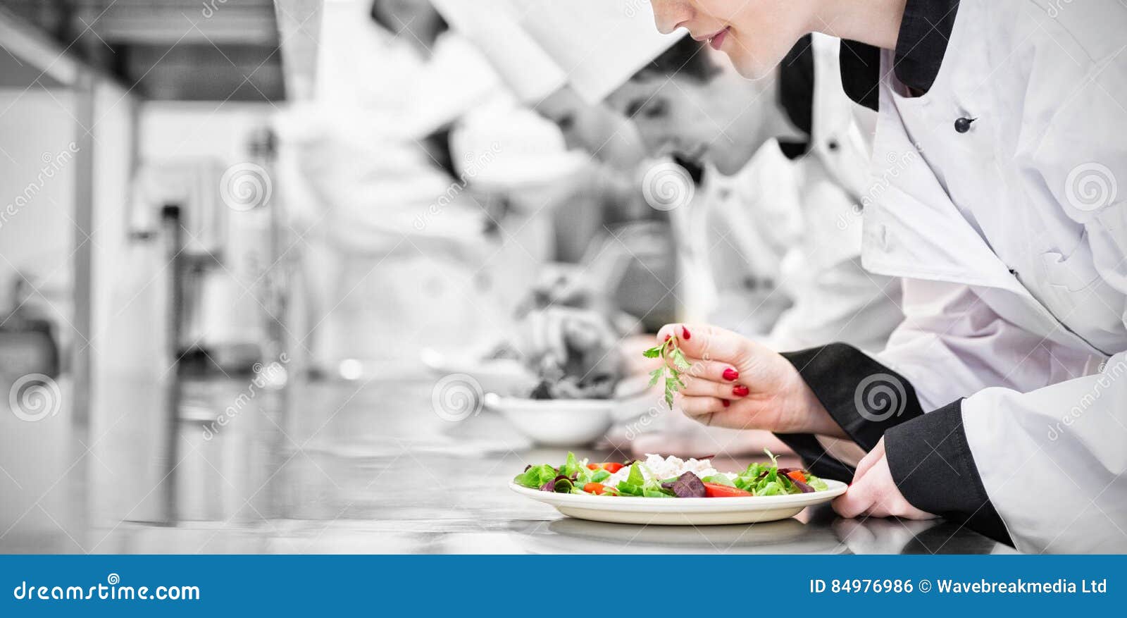 Chefs Finishing Their Salads in Culinary Class Stock Photo Image of