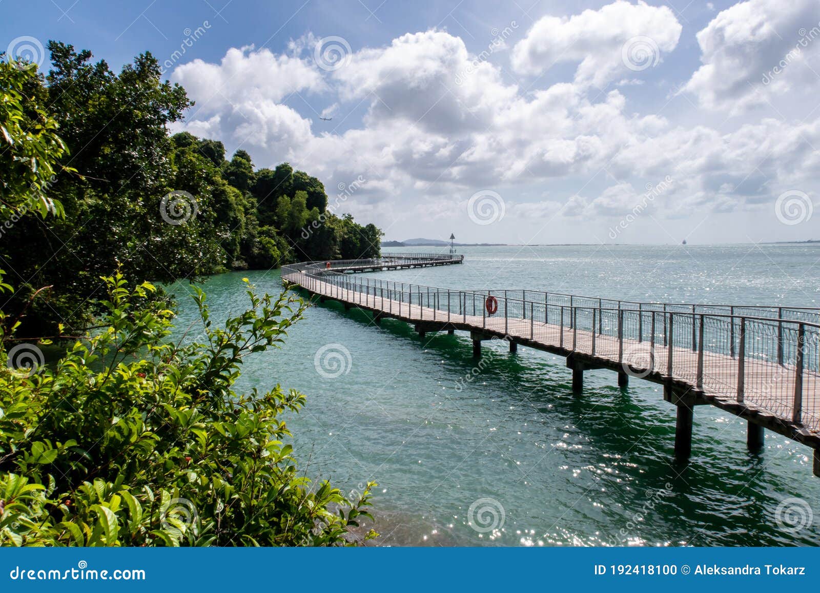 chek jawa broadwalk jetty, wooden platform in mangrove forest wetlands overlooking sea on pulau ubin island, singapore