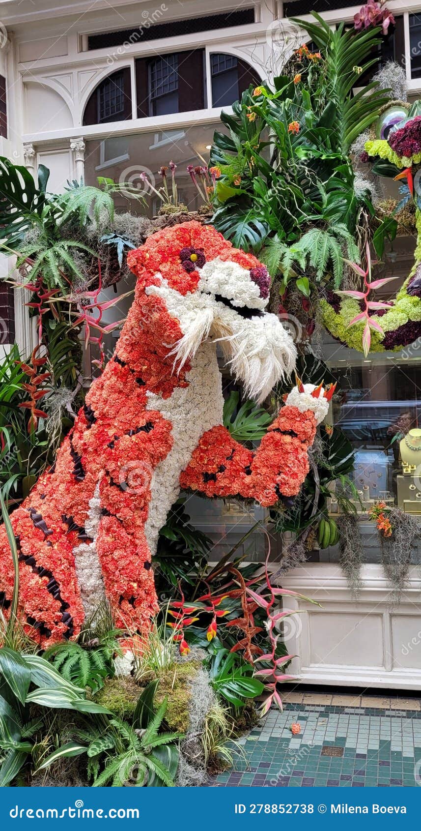 Chelsea in bloom 2023 editorial stock photo. Image of england 278852738