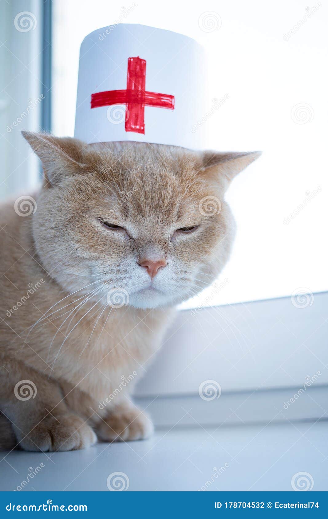 Chelyabinsk, RussiaMarch 21, 2020. Angry Beige Cat In A Medical Cap
