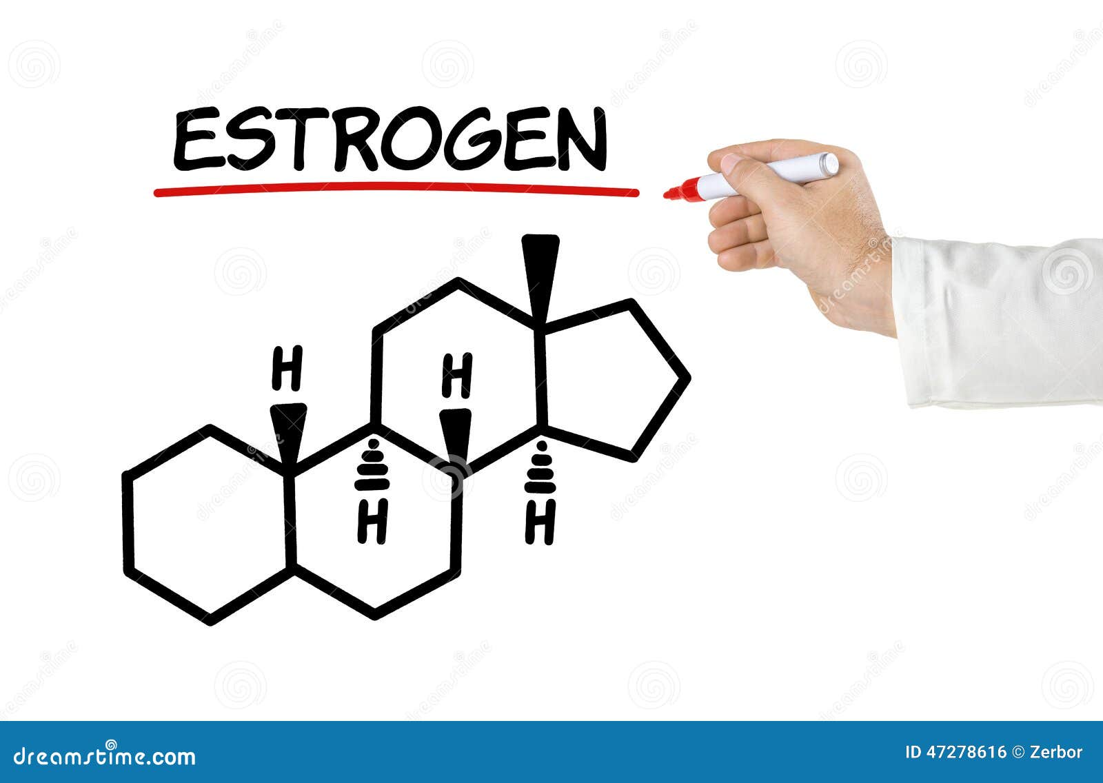 Chemical Formula Of Estrogen Stock Illustration Image 47278616