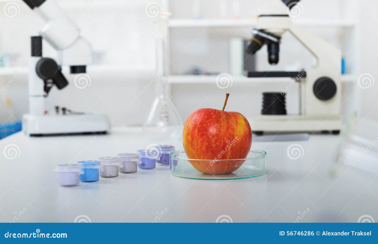 Chemical Laboratory of the Food Supply Stock Photo Image of discovery