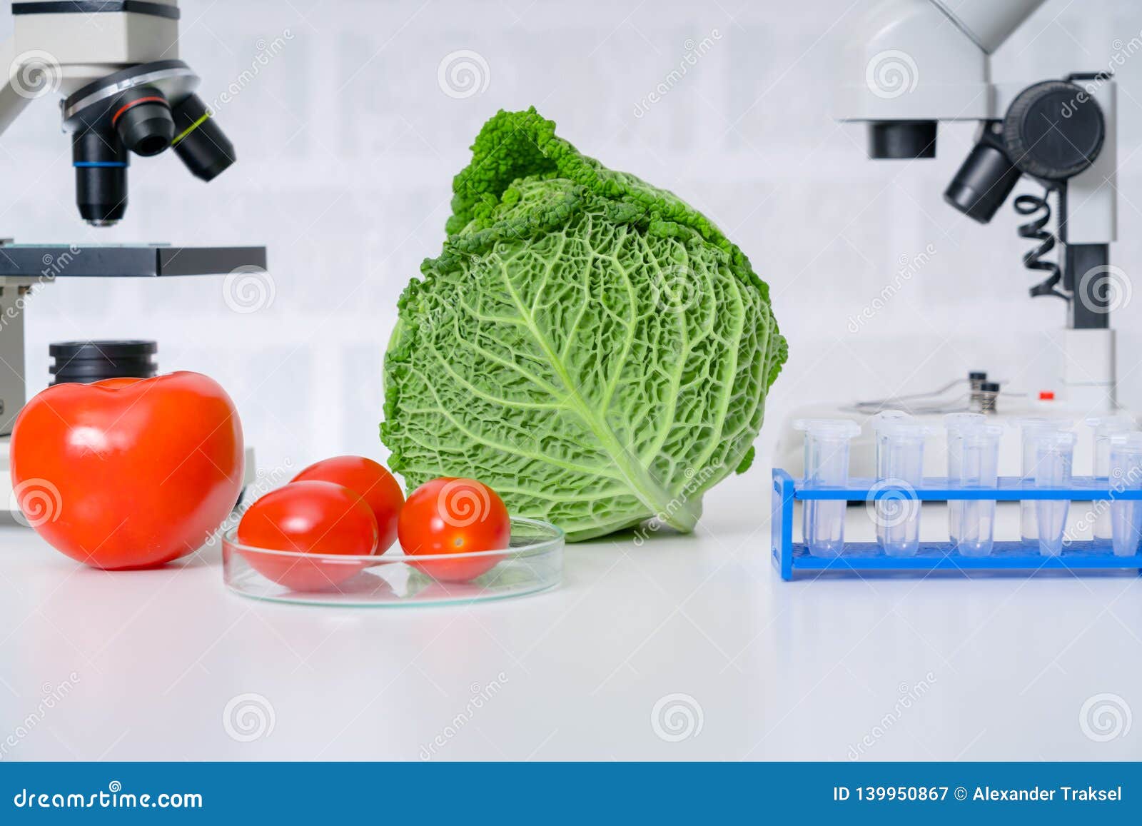Chemical Laboratory of the Food Supply . Food in Laboratory, Dna Modify