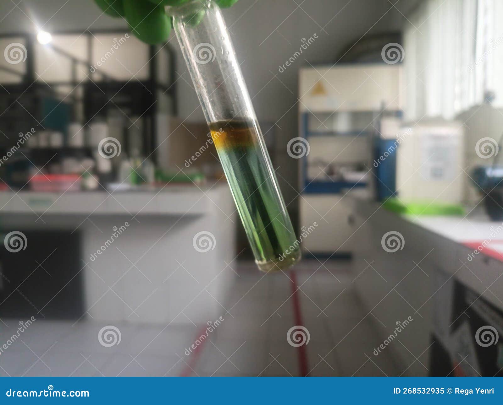chemical liquid in a test tube container& x29;