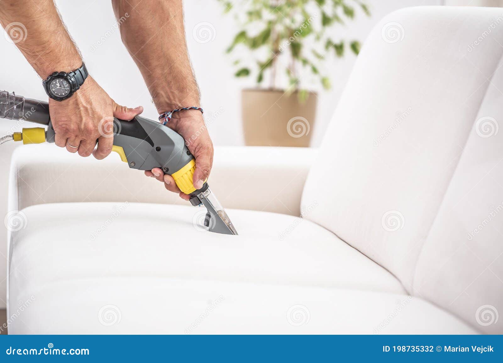 Chemical Sofa Depth Cleaning by a Professional Stock Photo Image of cleaning, cleanup 198735332