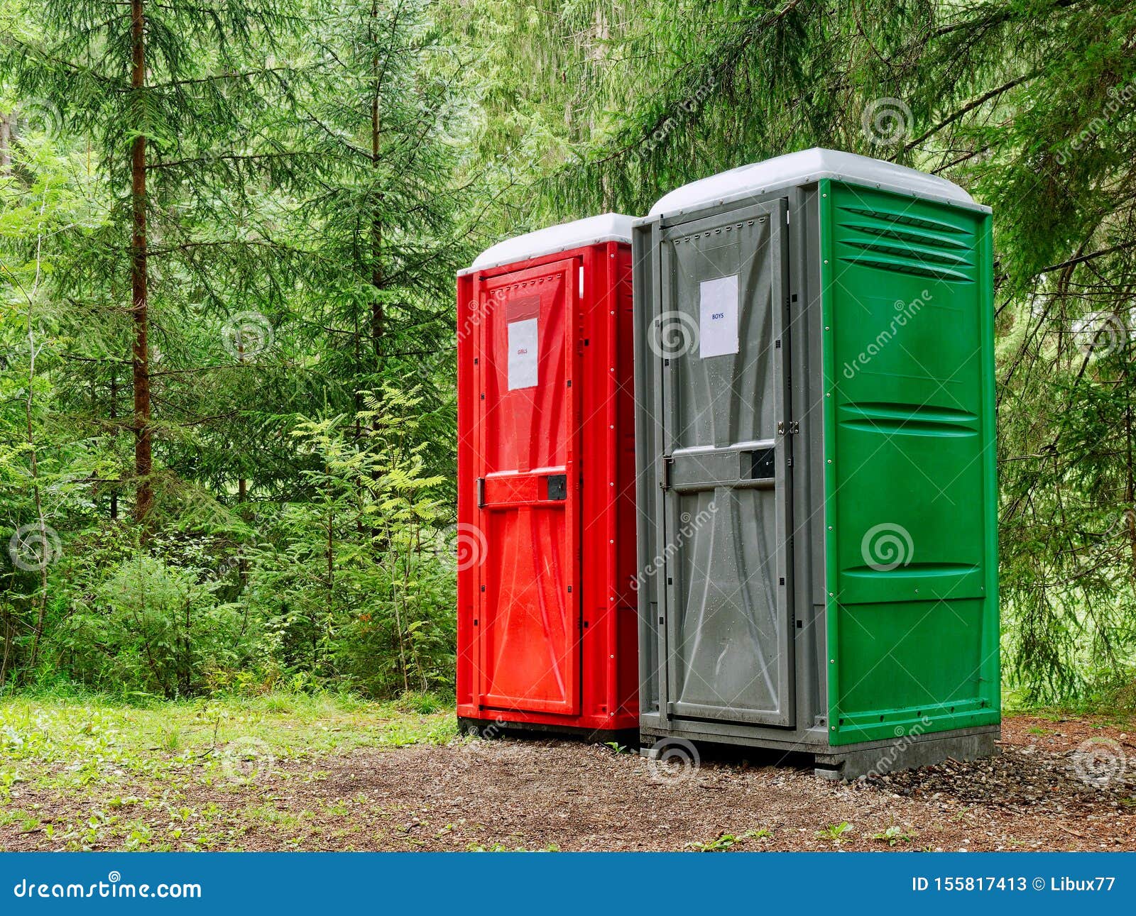 Chemical Toilets in the Forest at Summer Stock Image Image of wooden