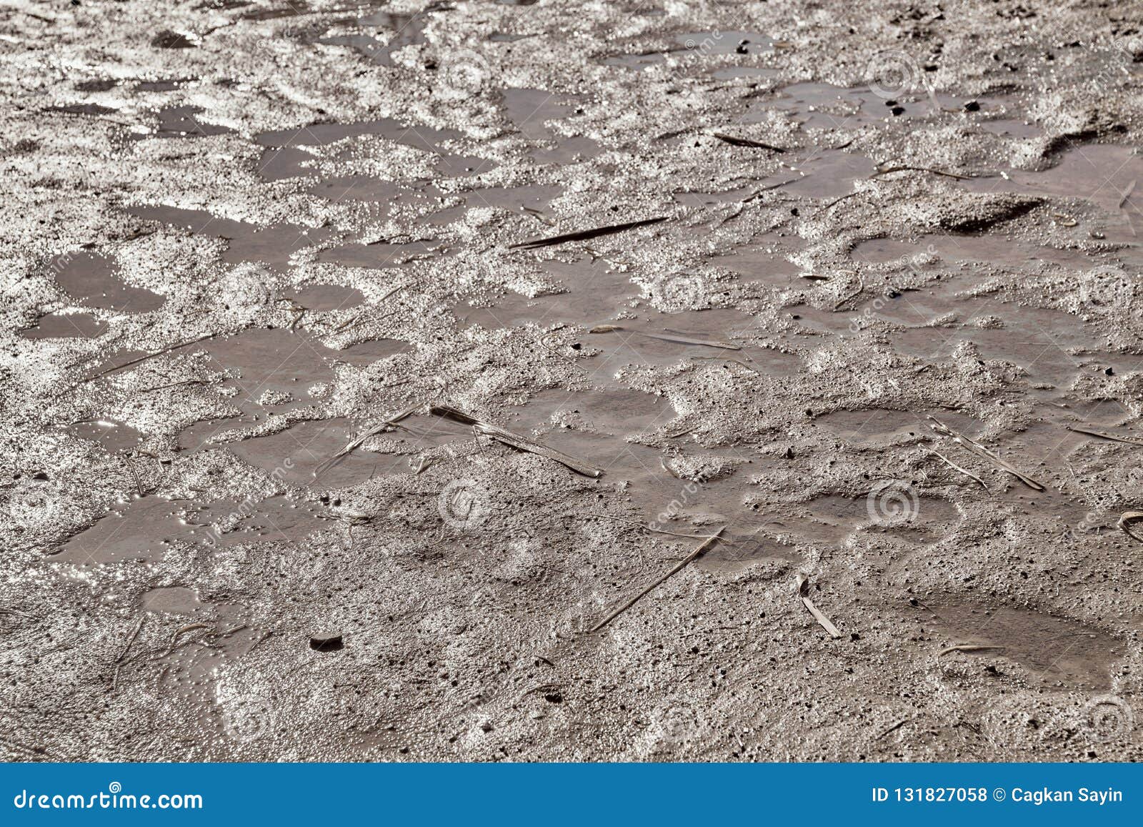 Chemin Boueux Humide De Sol Avec Des Empreintes De Pas Photo Stock Image Du Chemin Avec 131827058