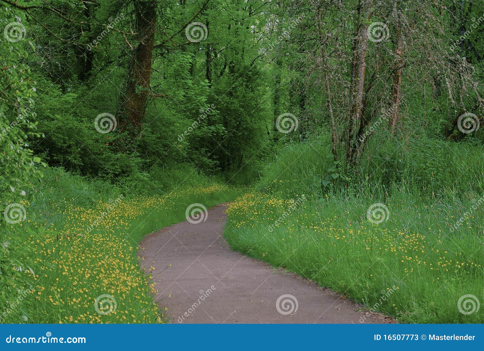 Chemin fleuri image stock. Image du jardin, pétale, centrale 16507773