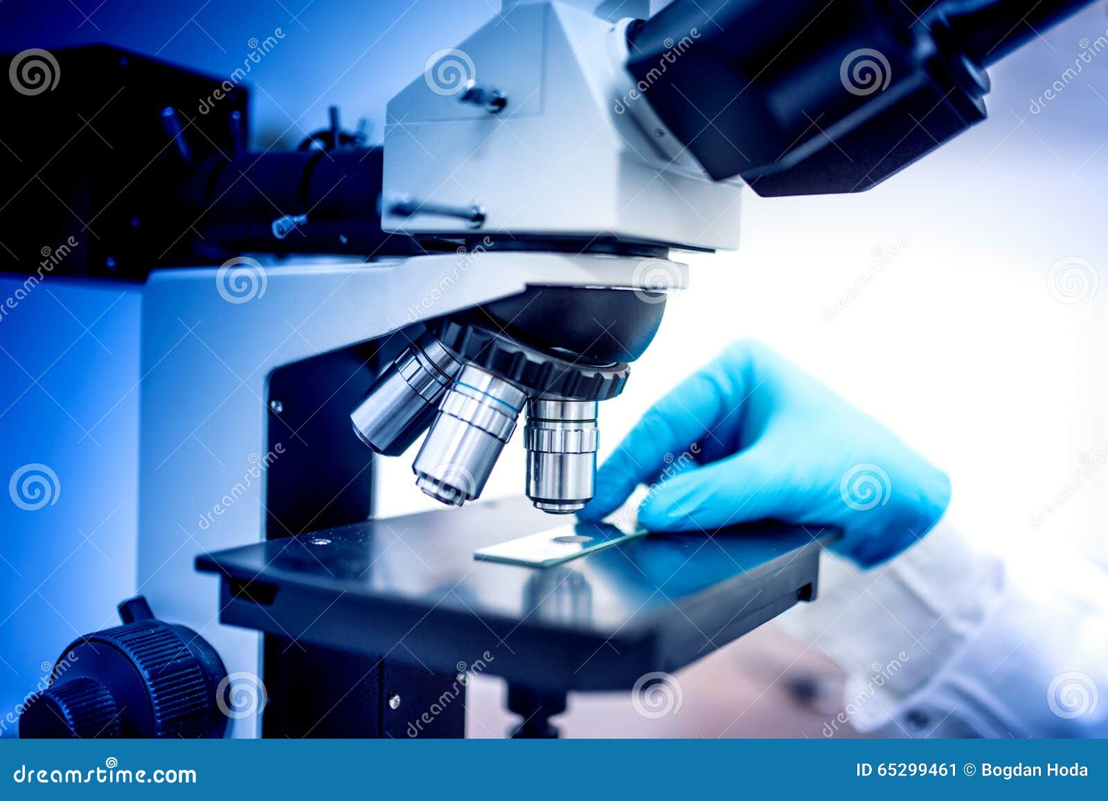 Chemist and Samples with Microscope and Rubber Gloves. Medical Chemist in Pharmaceutical Field