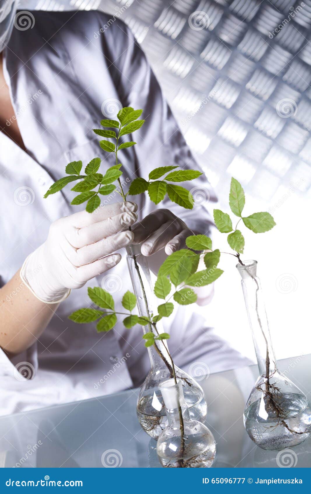 chemistry equipment, plants laboratory experimental