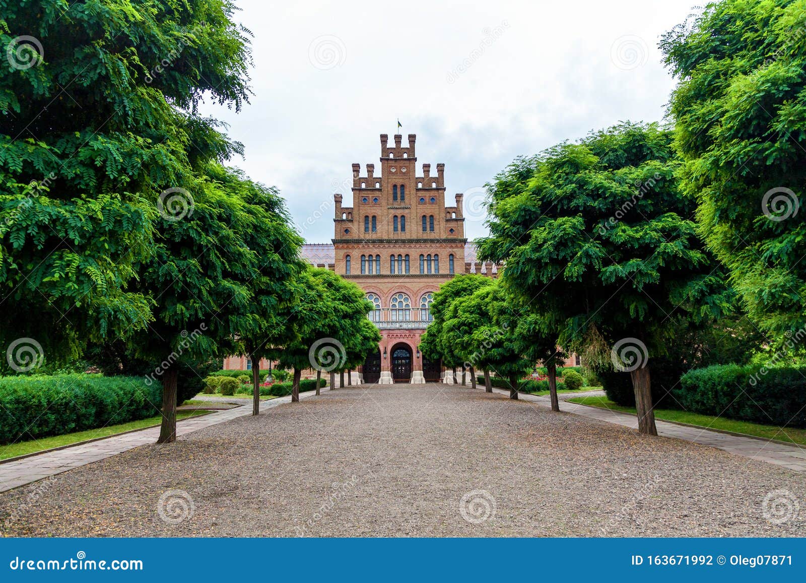 chernivtsi national university