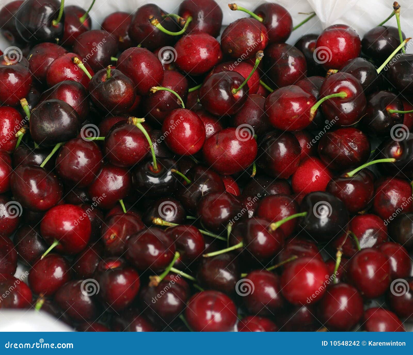 Cherries stock photo. Image of harvest, stone, crop, summer 10548242