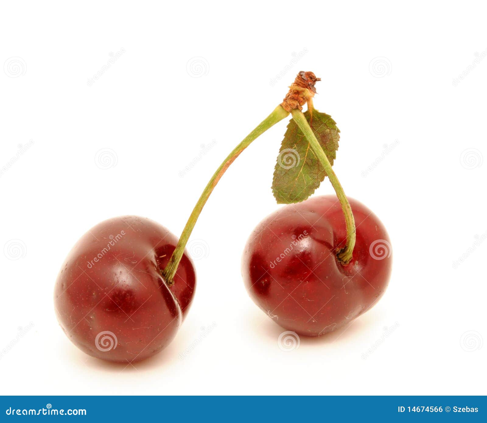 Cherries stock photo. Image of pair, healthy, cherry - 14674566