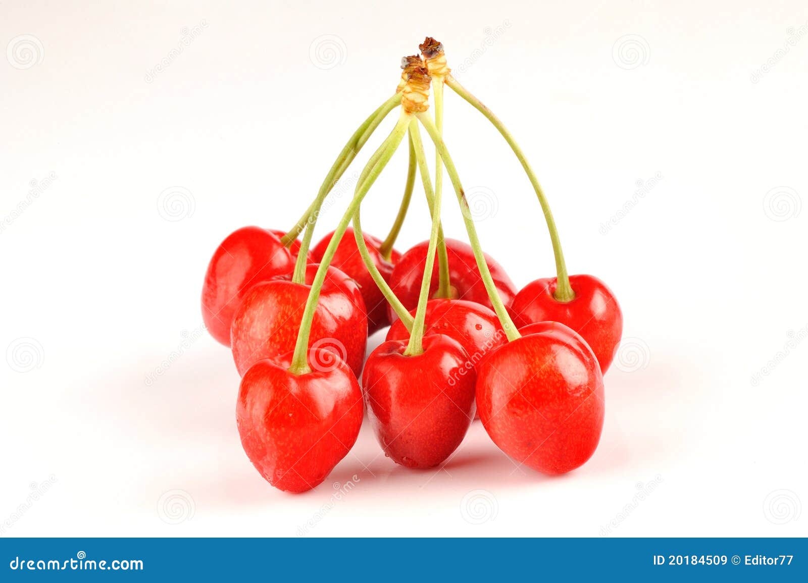 Bunch of fresh cherries stock image. Image of natural - 20184509