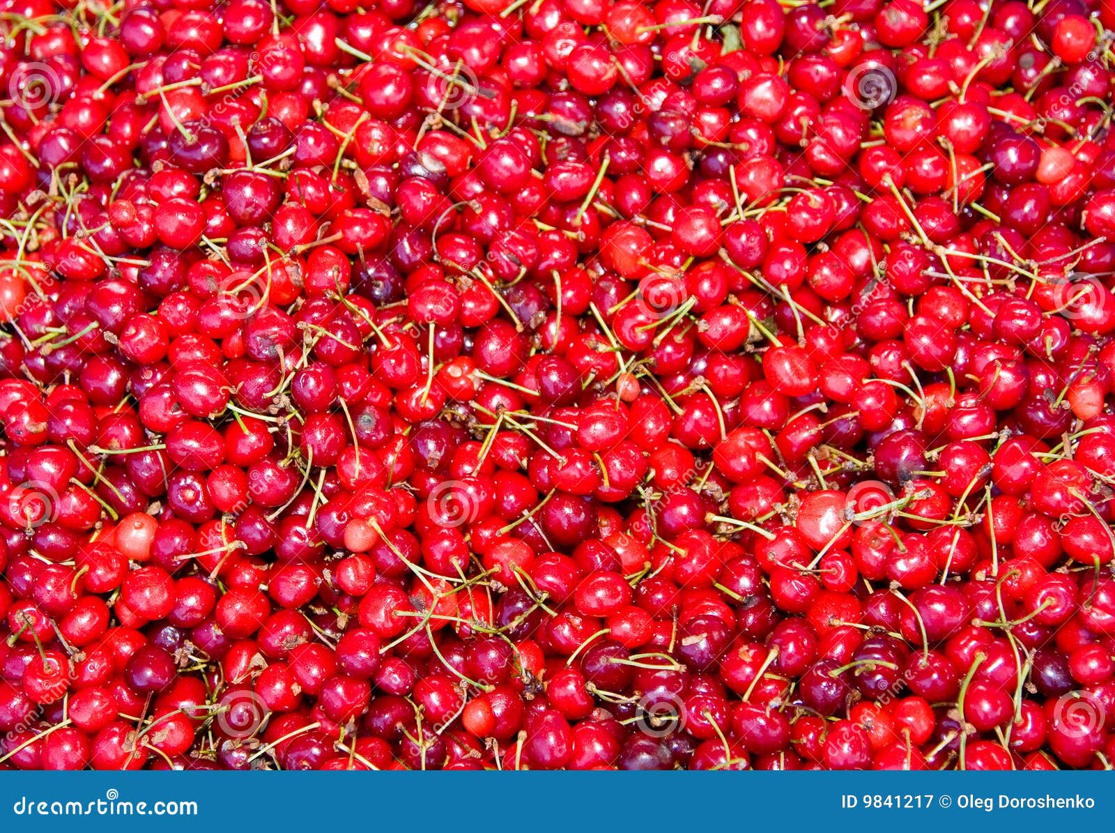 Cherries stock image. Image of ripe, edible, refreshment 9841217