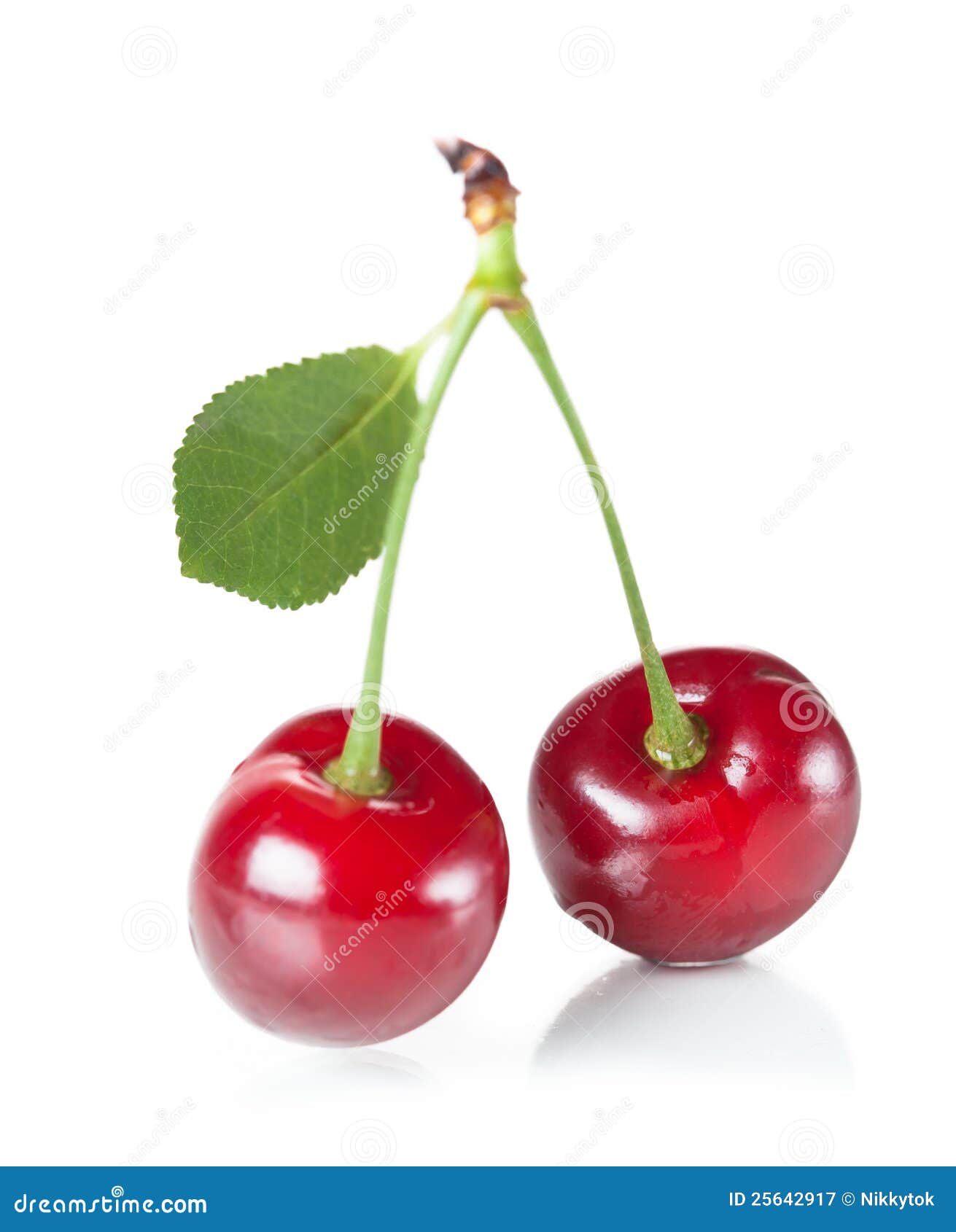 Cherries couple stock image. Image of good, fruit, background - 25642917