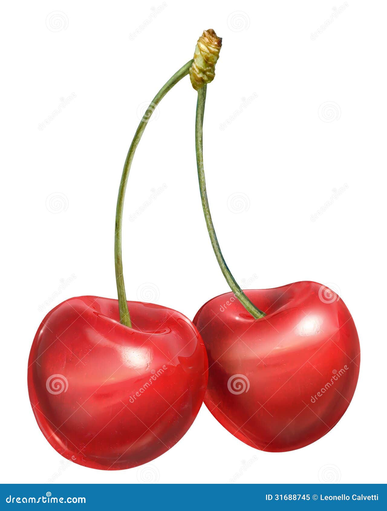 Cherries Couple, with Stems. Stock Image Image of berry, merry 31688745