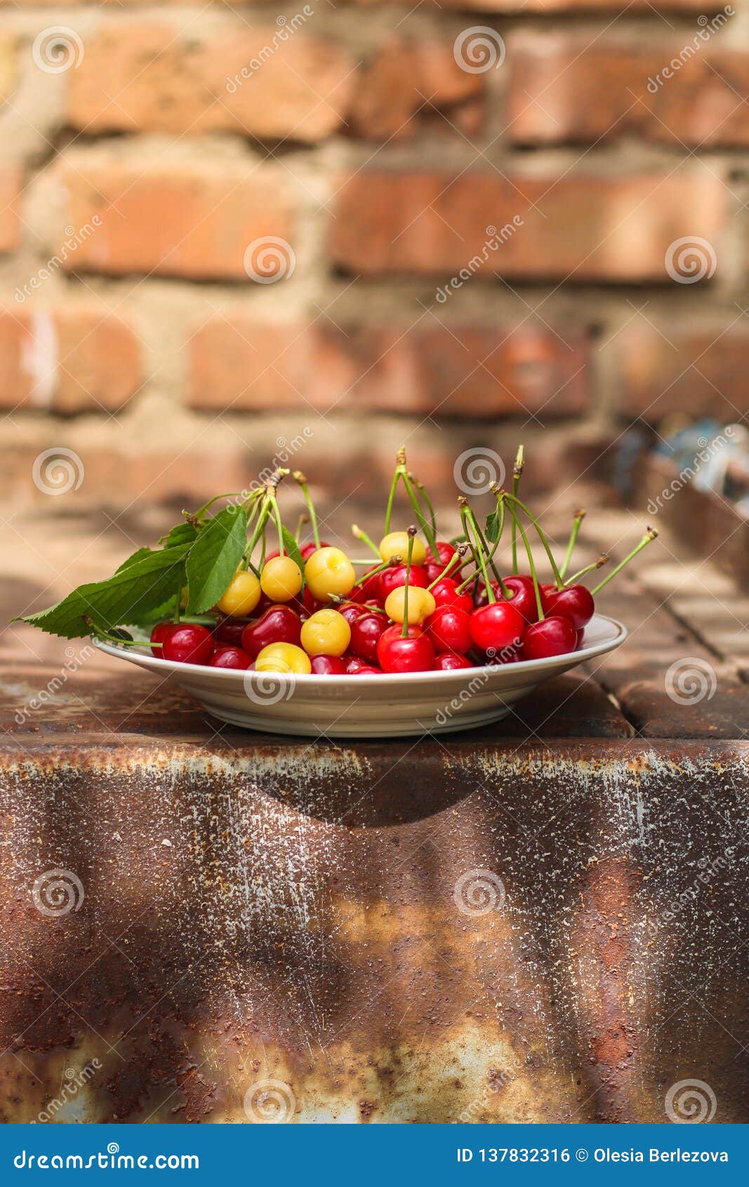 Cherries, Fruit Berries, Harvest Ripe and Juicy Fruits. Top Copy Space ...