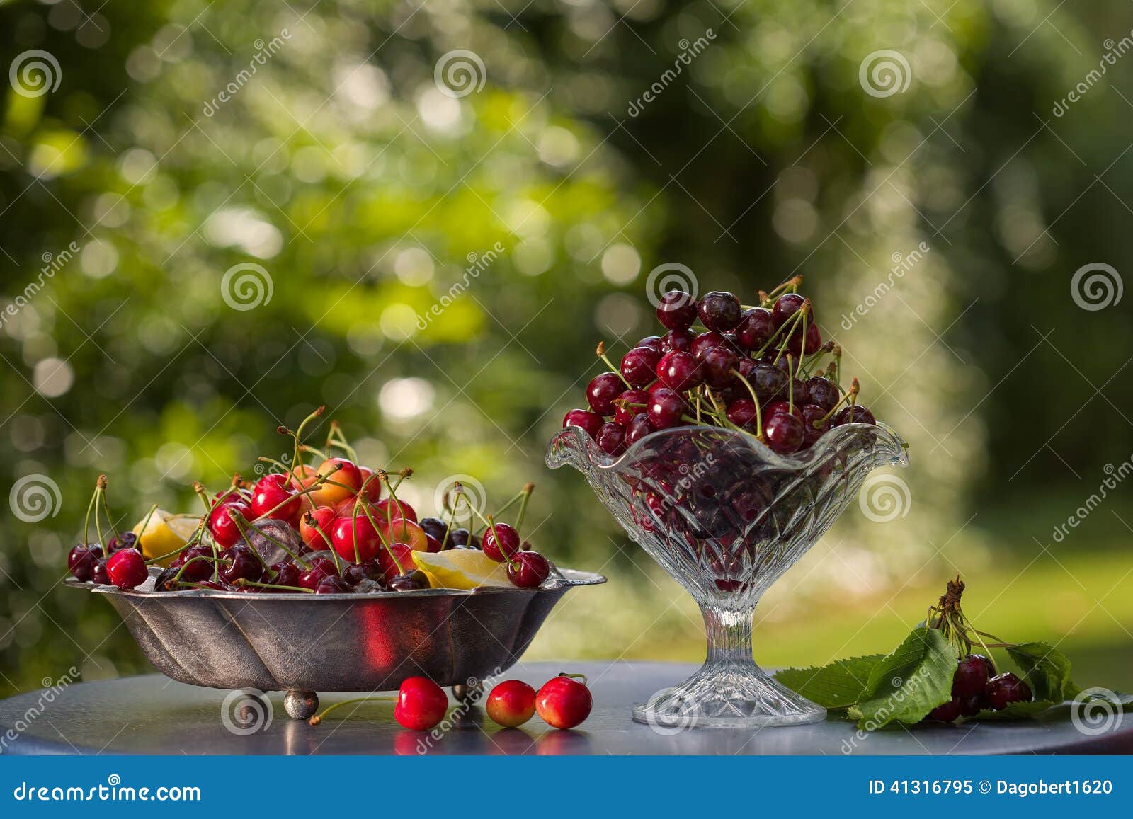 Cherries in the garden stock image. Image of summer, plate 41316795