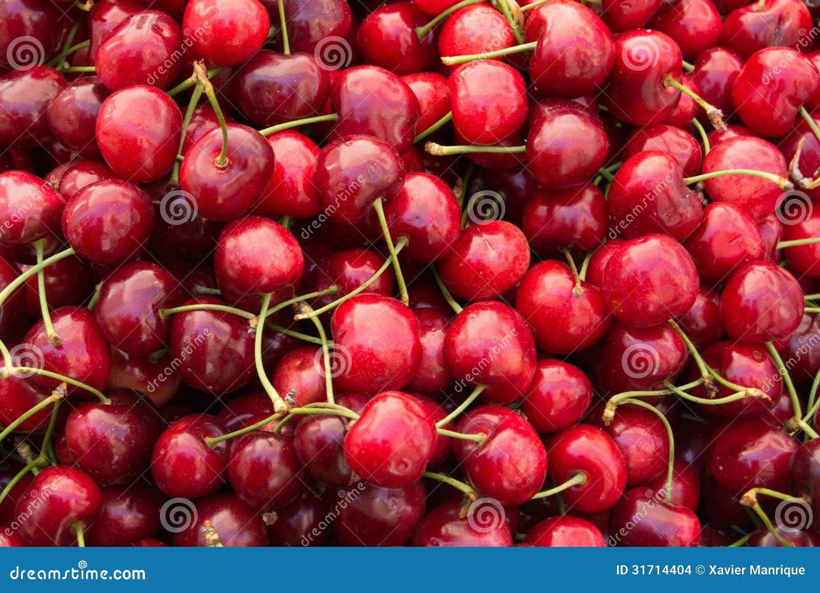 Cherries stock photo. Image of fruit, cherry, group, pink 31714404