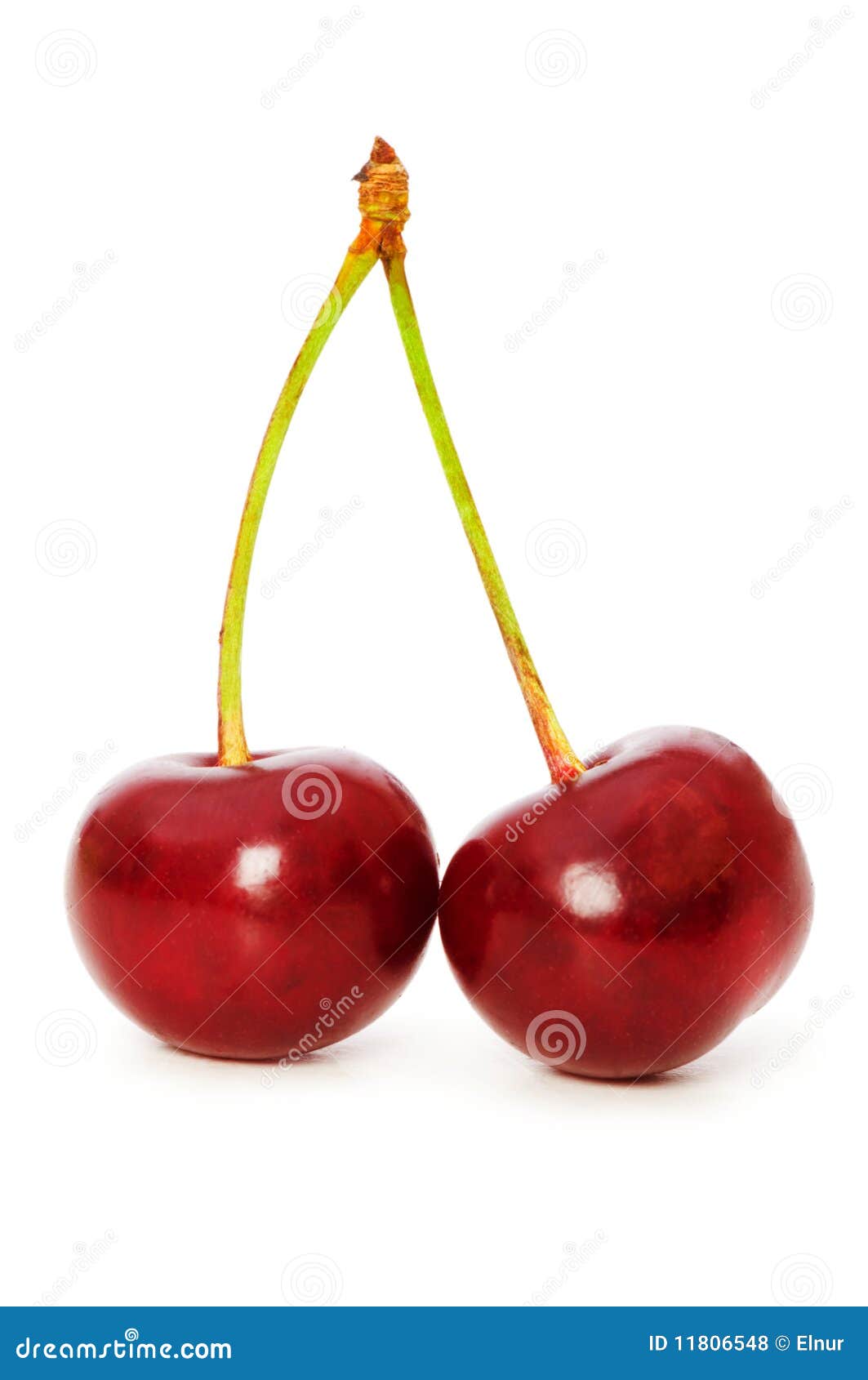Cherries isolated stock photo. Image of background, closeup - 11806548