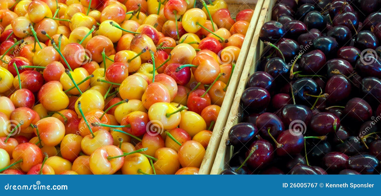 Cherries for sale stock image. Image of rainier, fresh 26005767