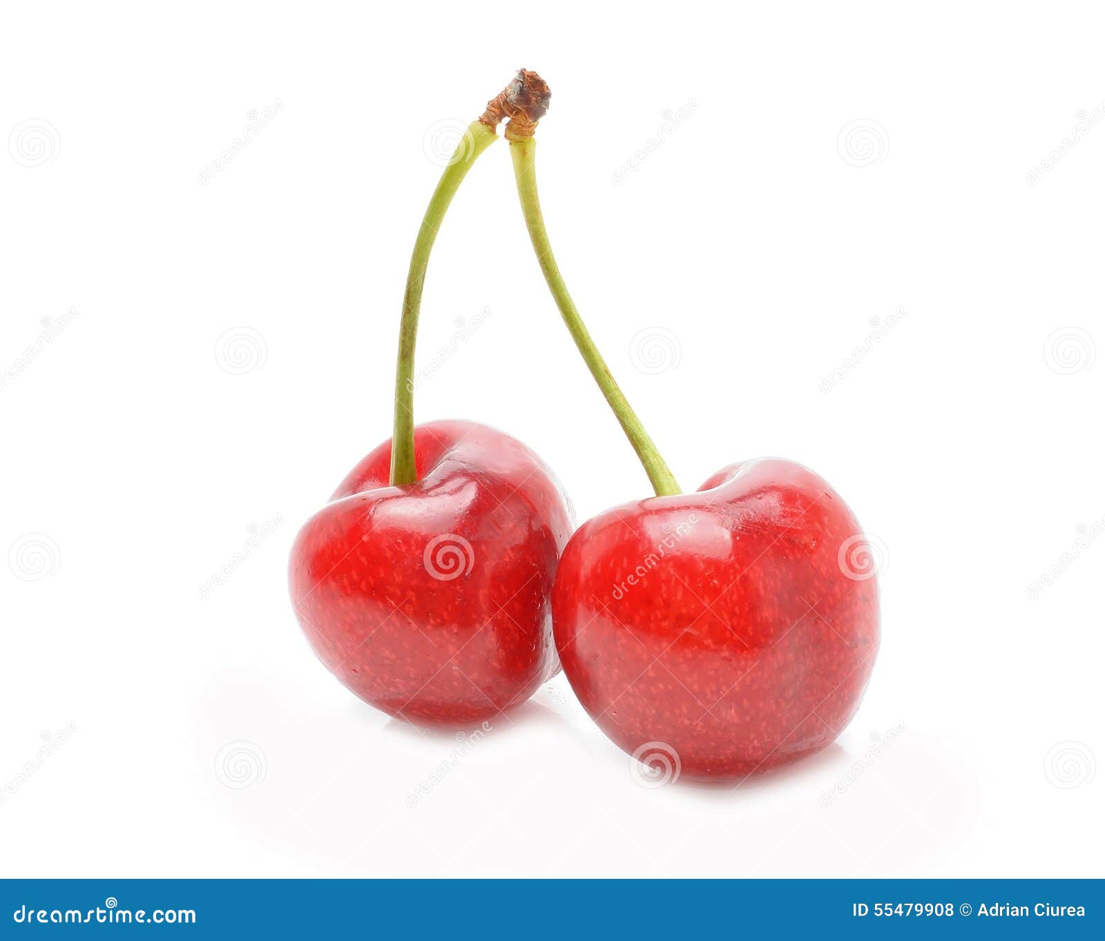 Cherries on a White Background Stock Photo - Image of ripe, succulent ...